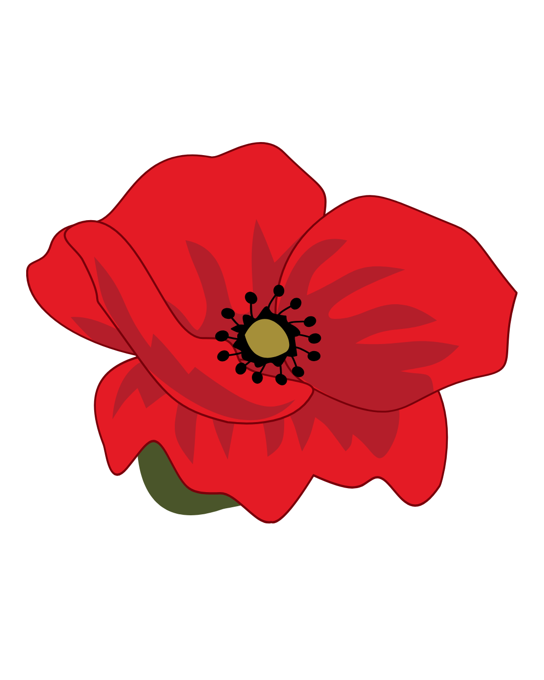 A digital illustration of a red poppy flower with black and yellow center against a black background.