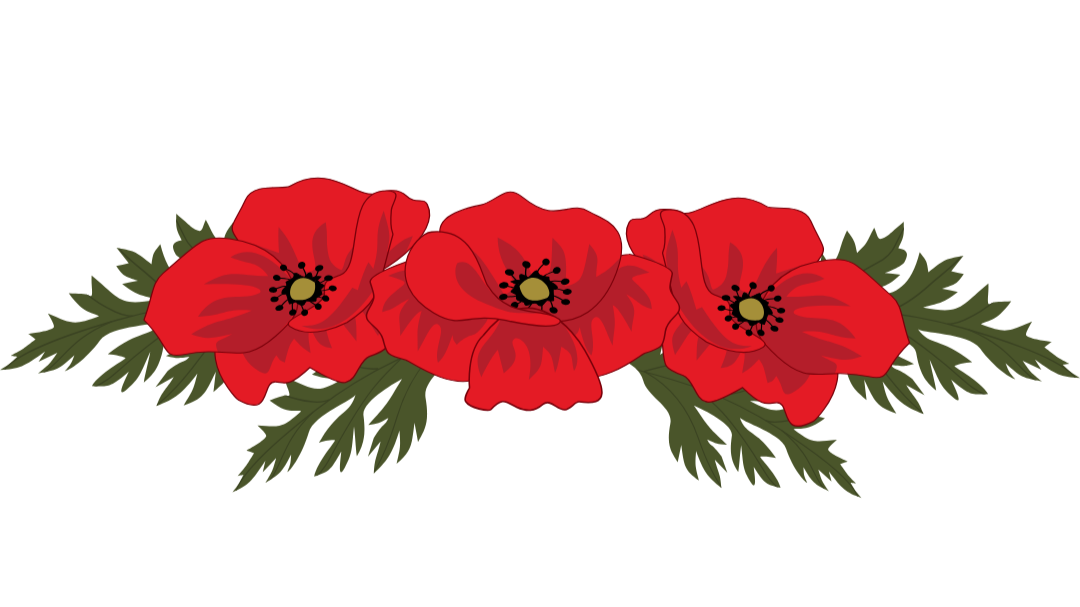 Illustration of three red poppy flowers with dark centers and green leaves at the base.