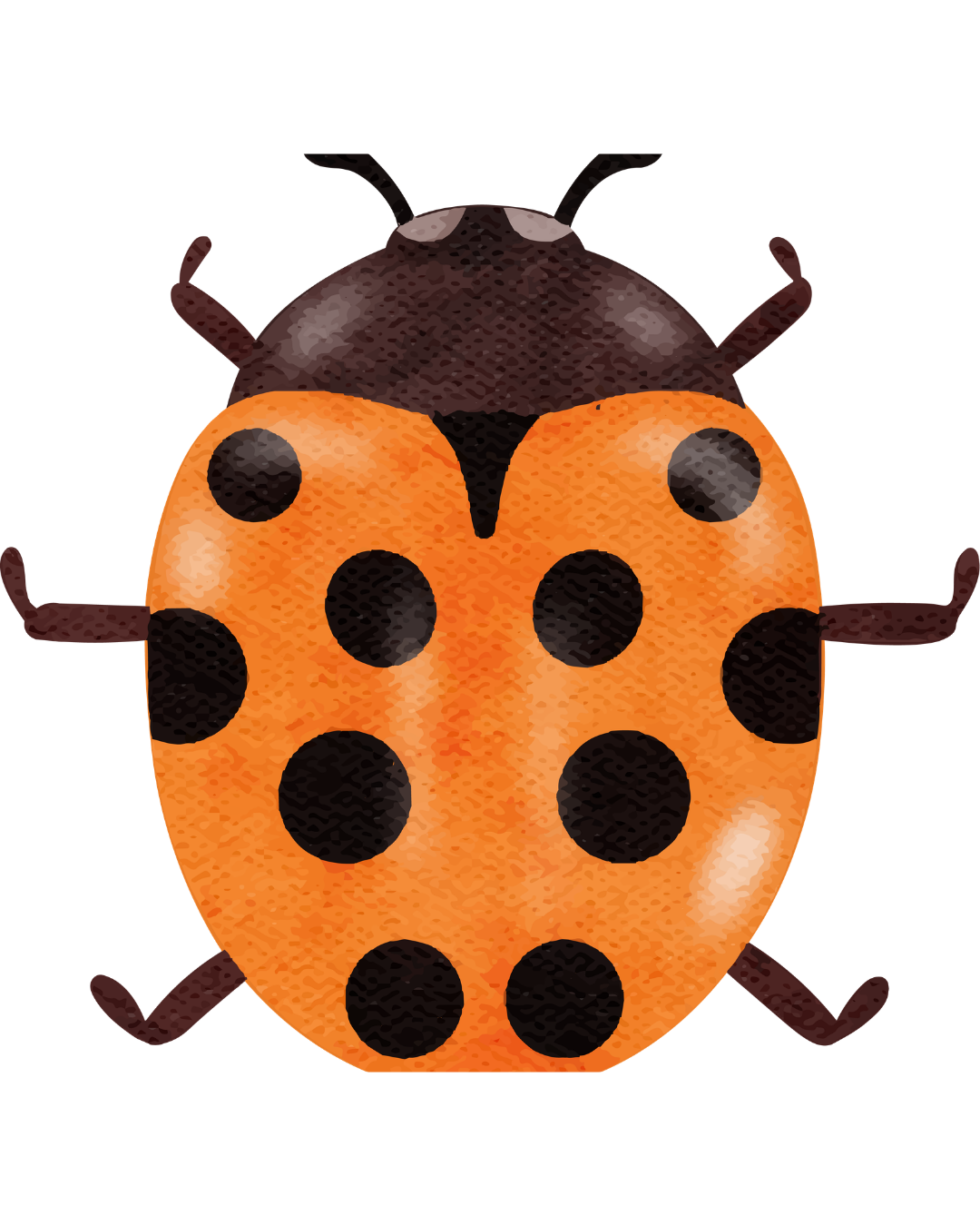 Illustration of a ladybug with an orange body and black spots, facing forward.