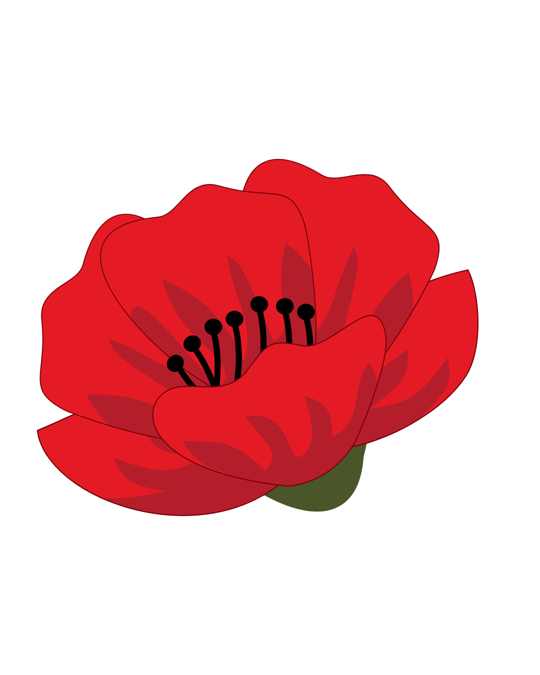 A digital illustration of a red poppy flower with black stamens and green leaves.
