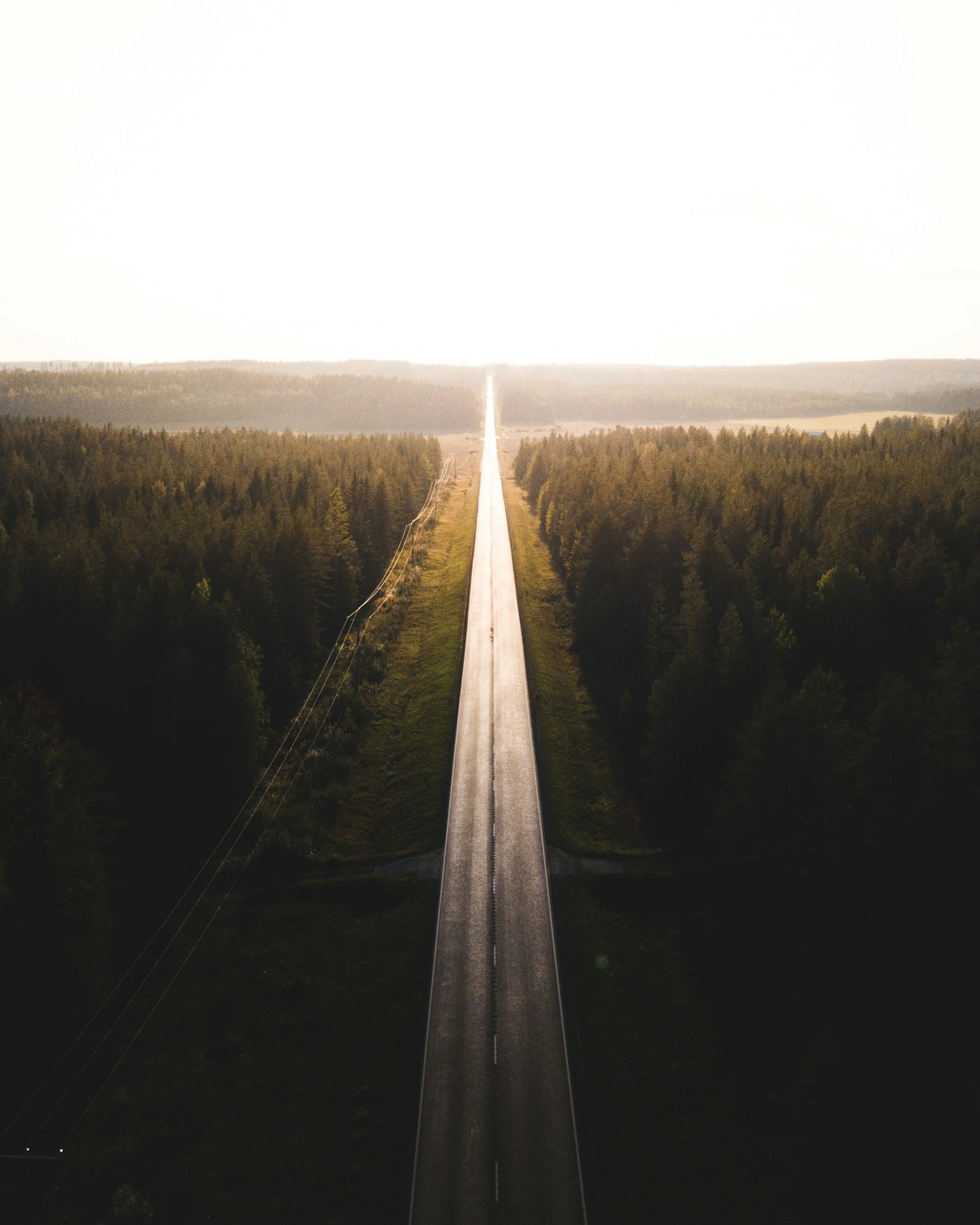 A long straight road running through a forest of green trees on either side, stretching into the horizon under a bright sky with the sun shining.