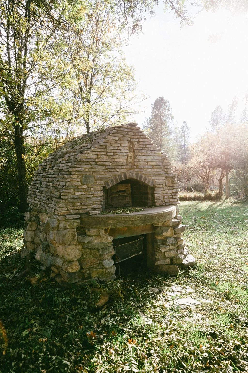 A rustic outdoor stone oven with an arched opening in a garden setting, surrounded by trees and greenery.