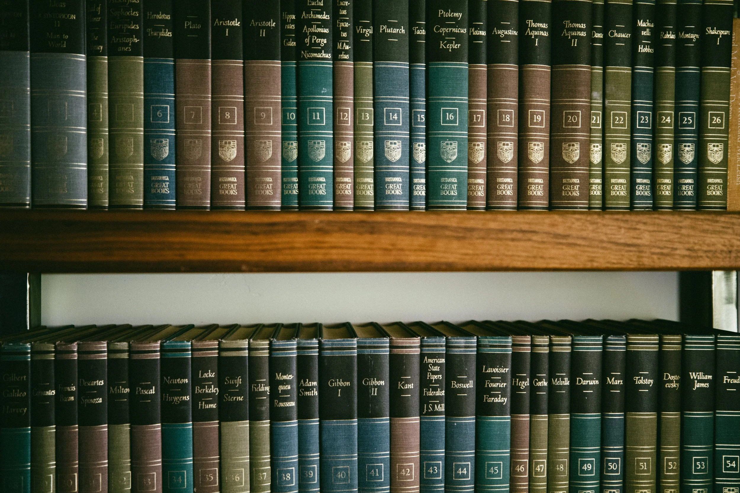 Bookshelves filled with hardcover books arranged in alphabetical order, with titles related to philosophy, history, and literature.