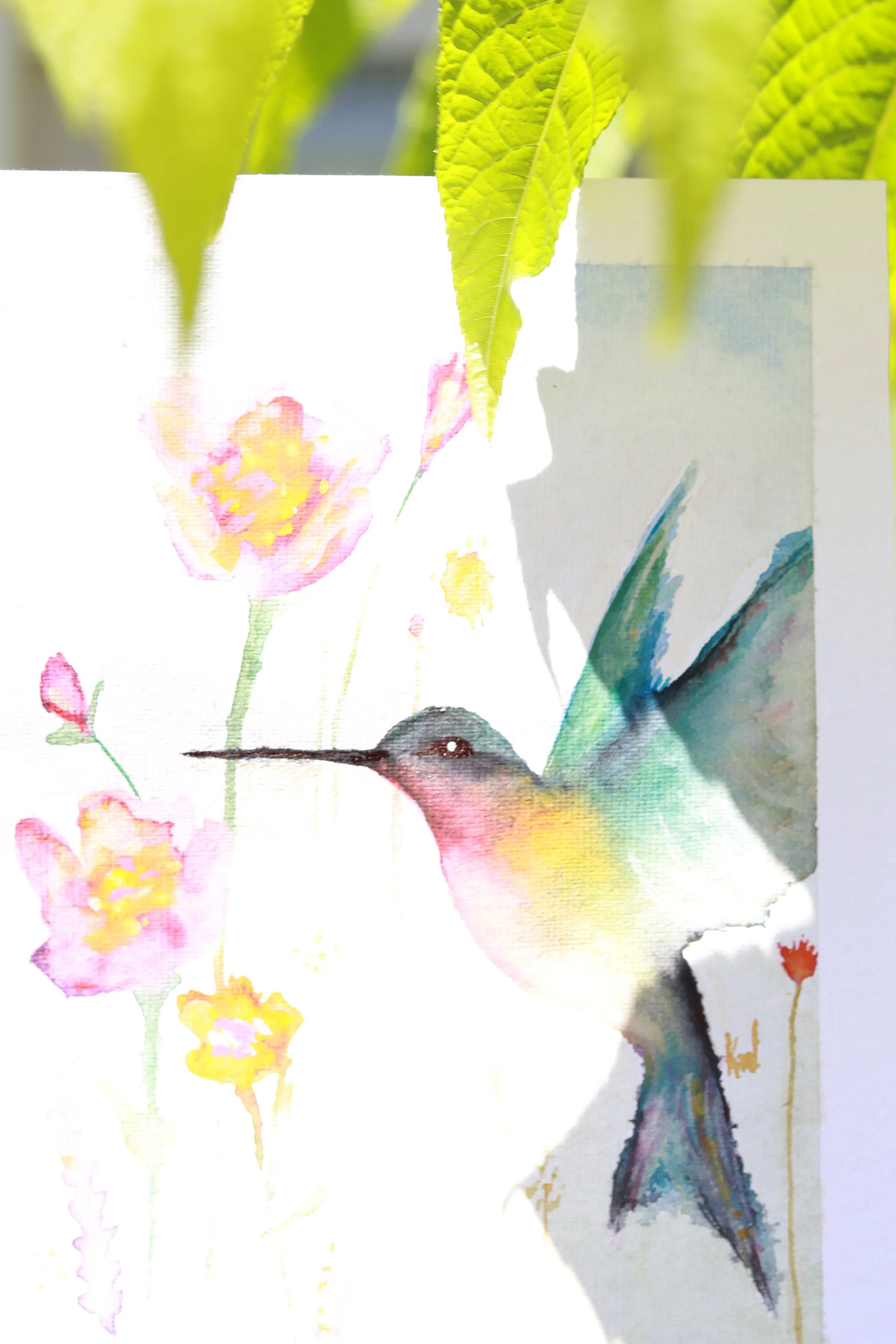 IMG_8925.png