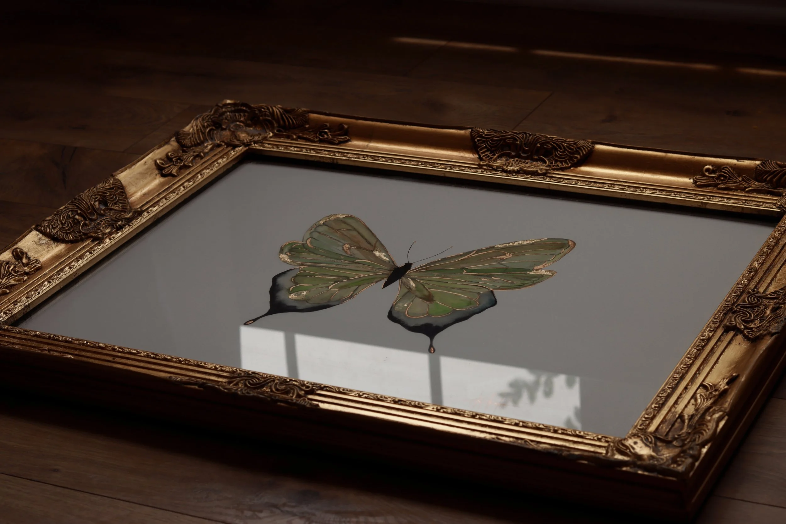Green Butterfly
