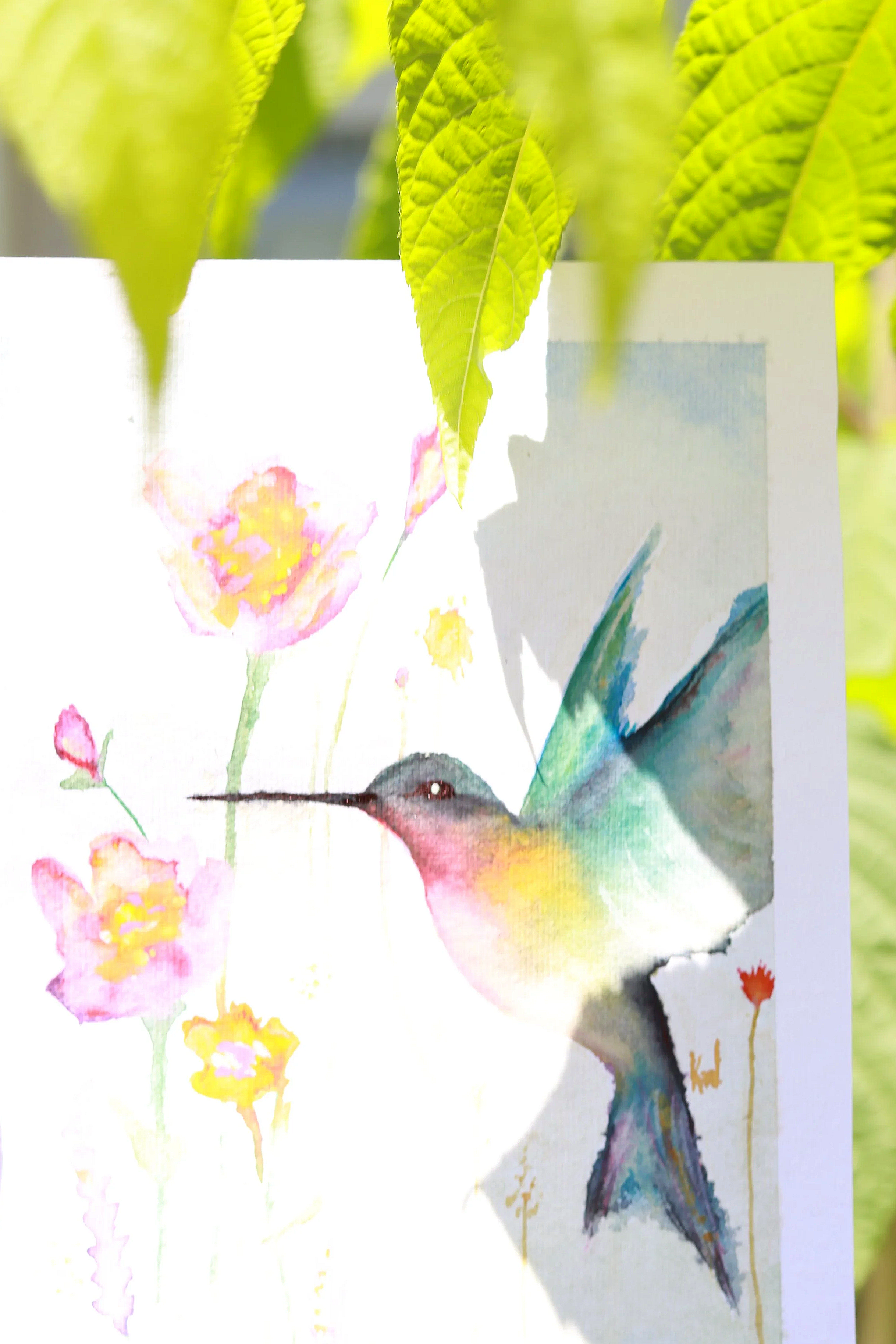 IMG_8926.png