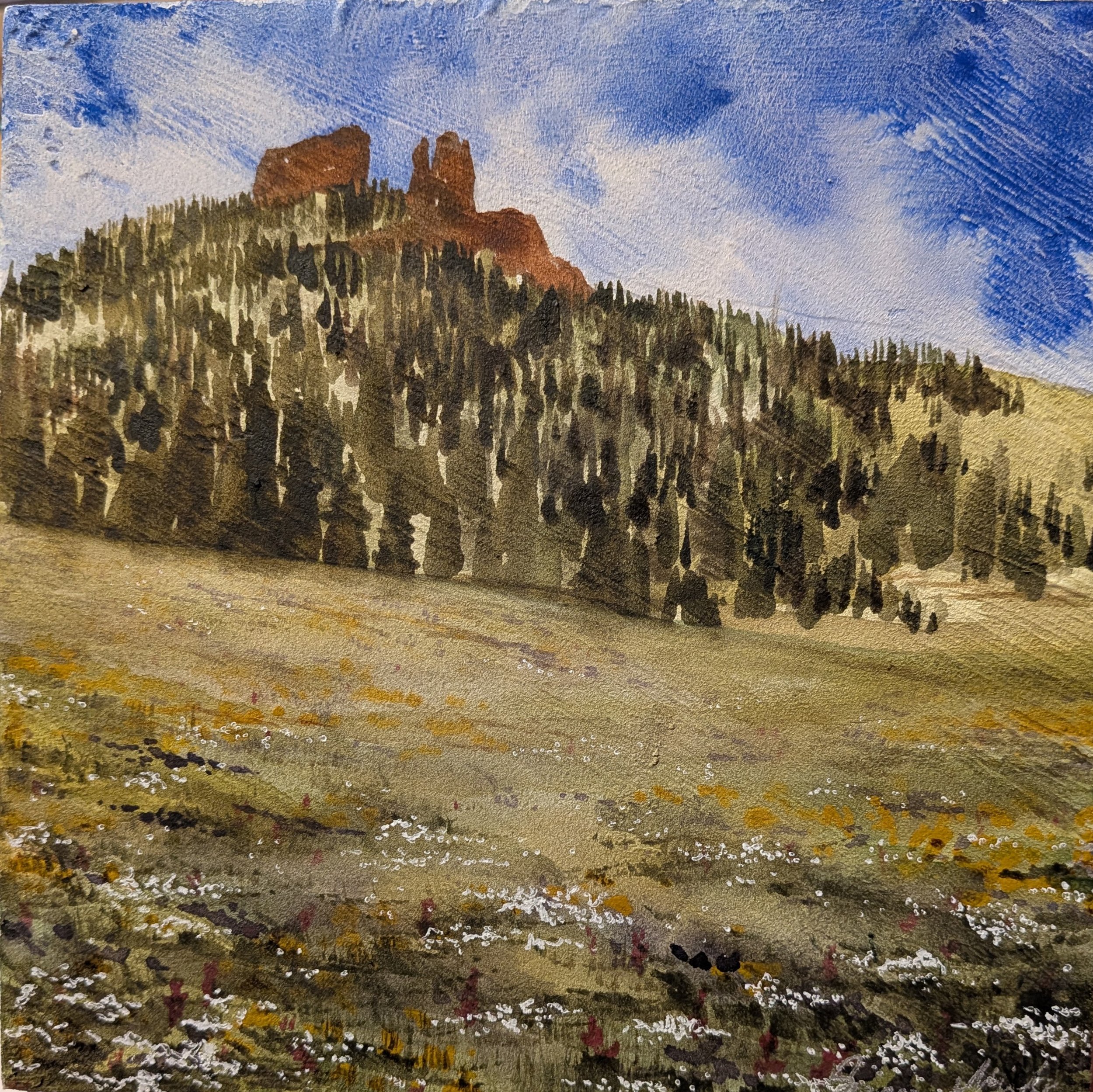 A watercolor painting of a grassy plain with a cluster of tall, dark pine trees in the foreground, and a rocky red-brown mountain with a blue sky and white clouds in the background.