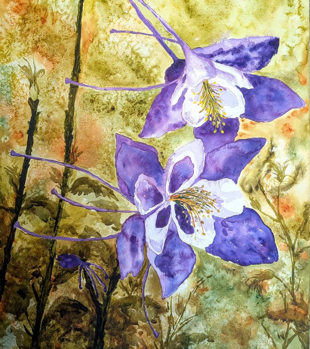 Columbine Garden