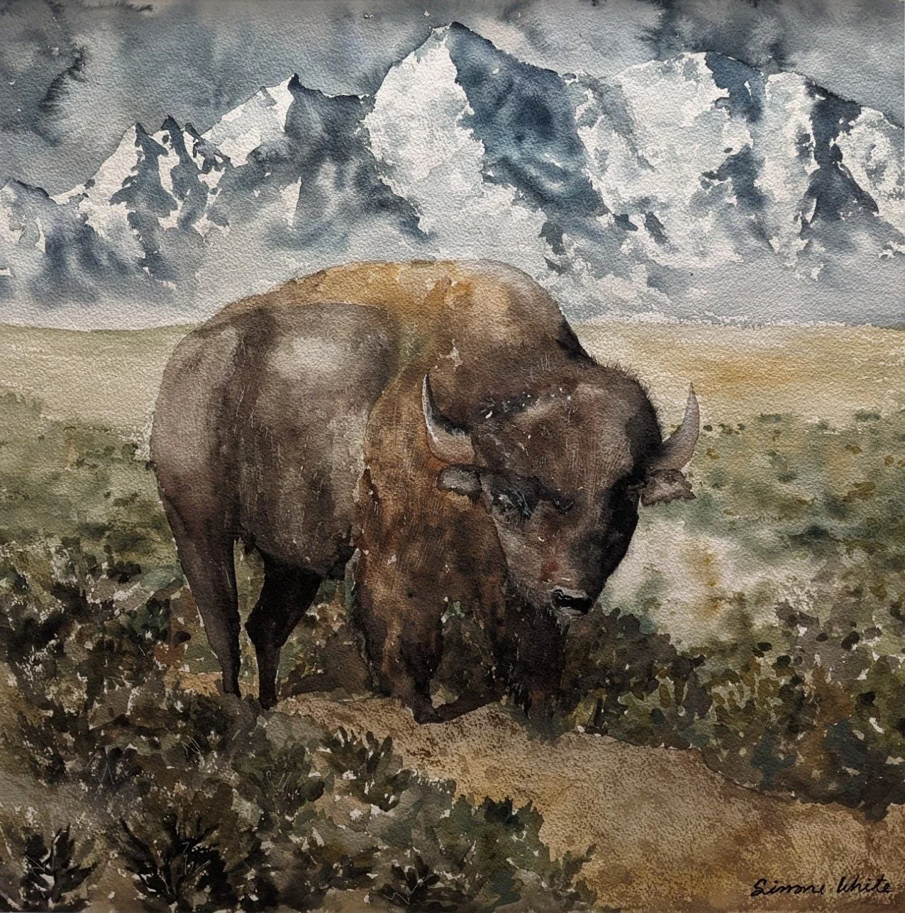 Watercolor painting of a bison standing on grassy terrain with snow-capped mountains in the background.