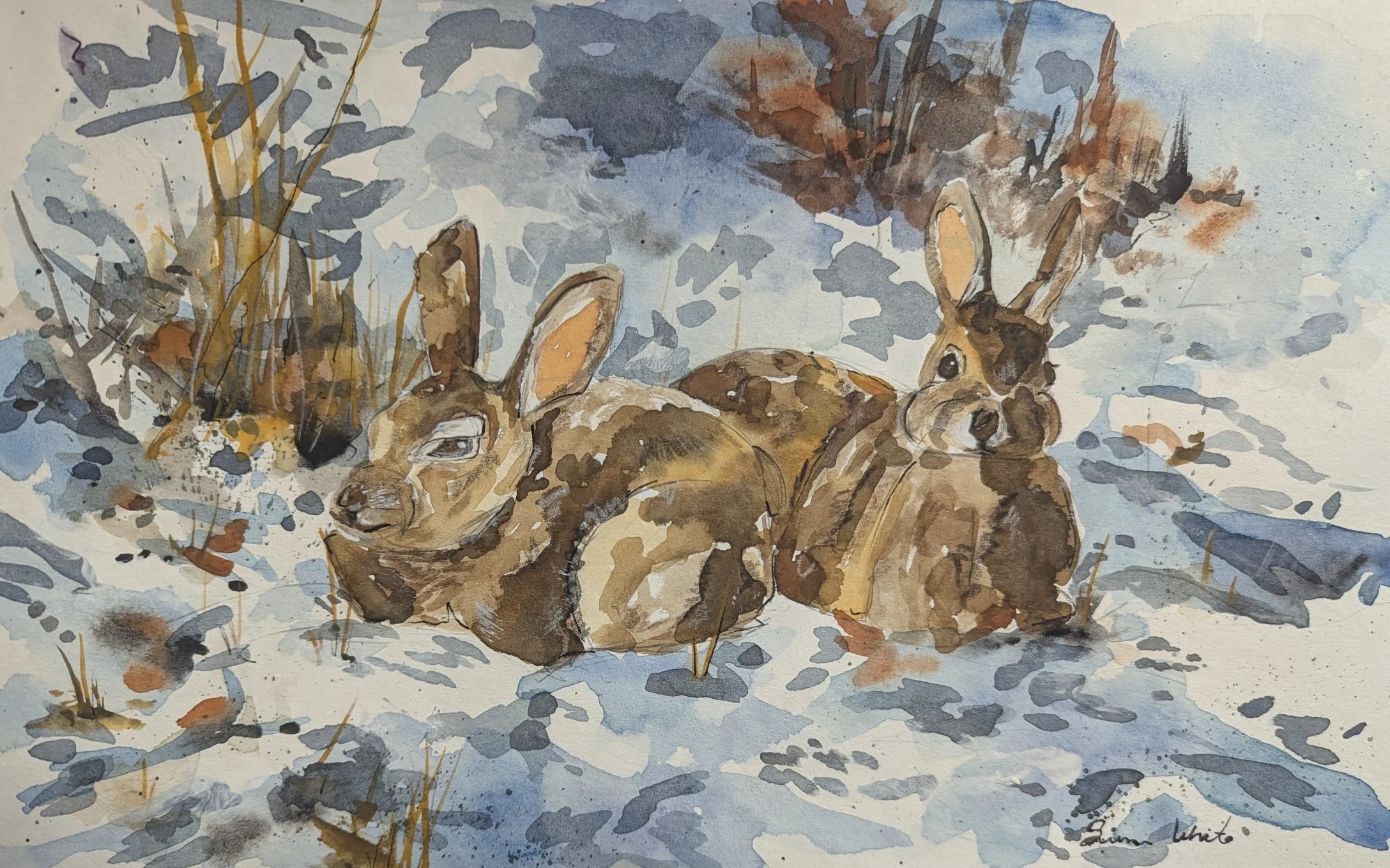 Watercolor painting of two animals resting on snow next to tall grasses and bushes, one with an eye patch and the other with large ears, in a winter landscape.