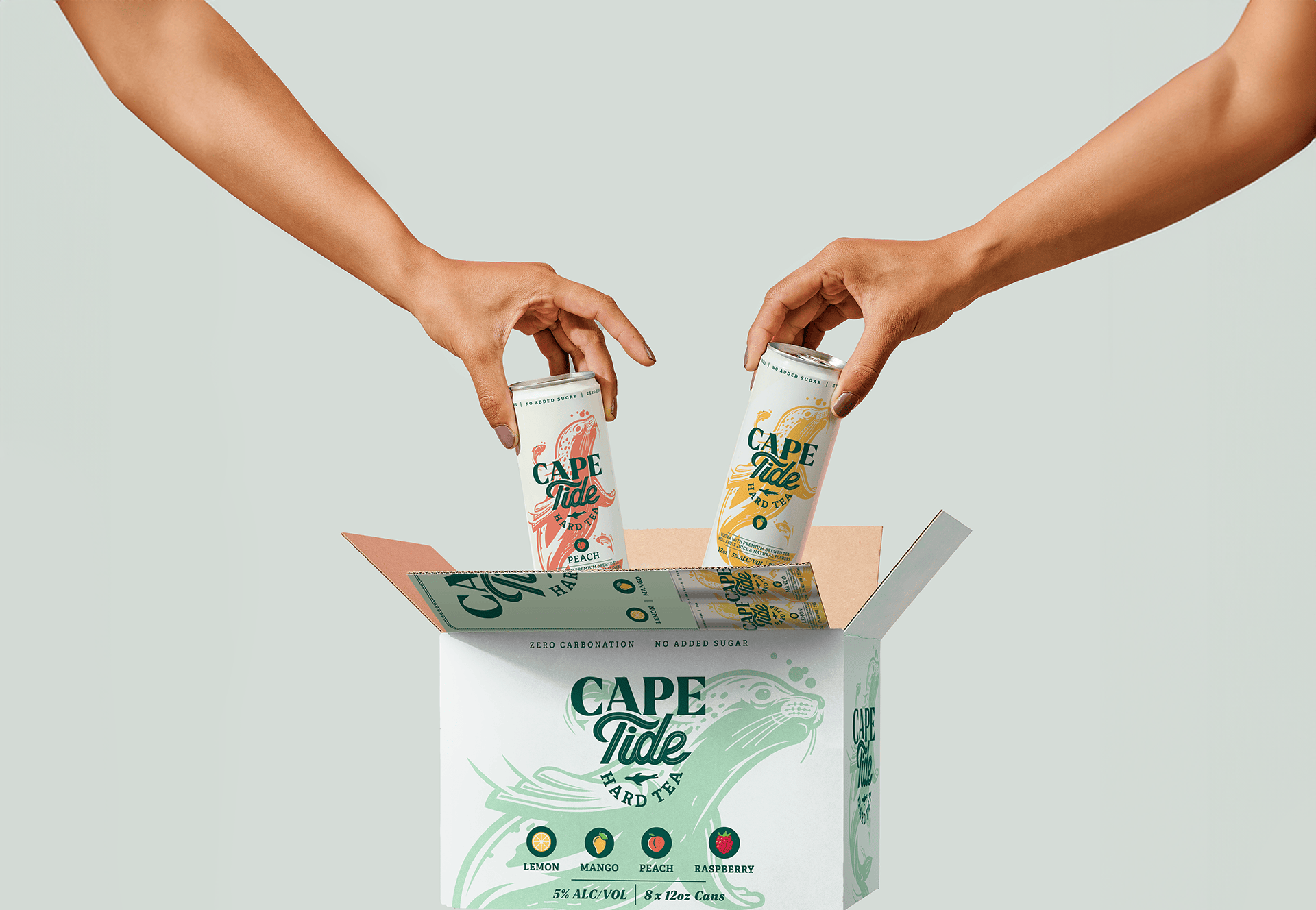 cans-box-revised.webp