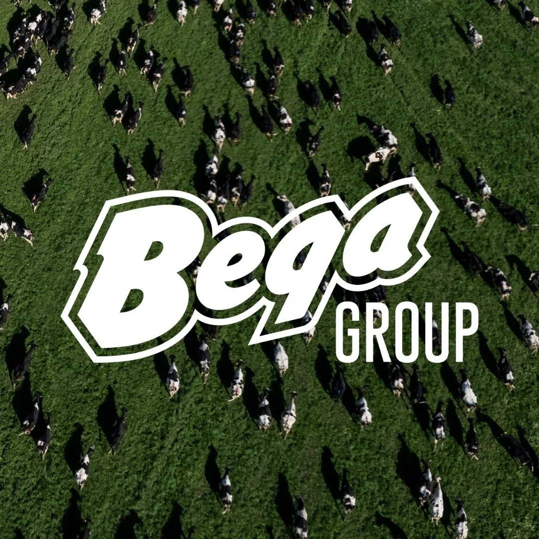 BEGA GROUP - STRATEGIC CORPORATE REBRAND