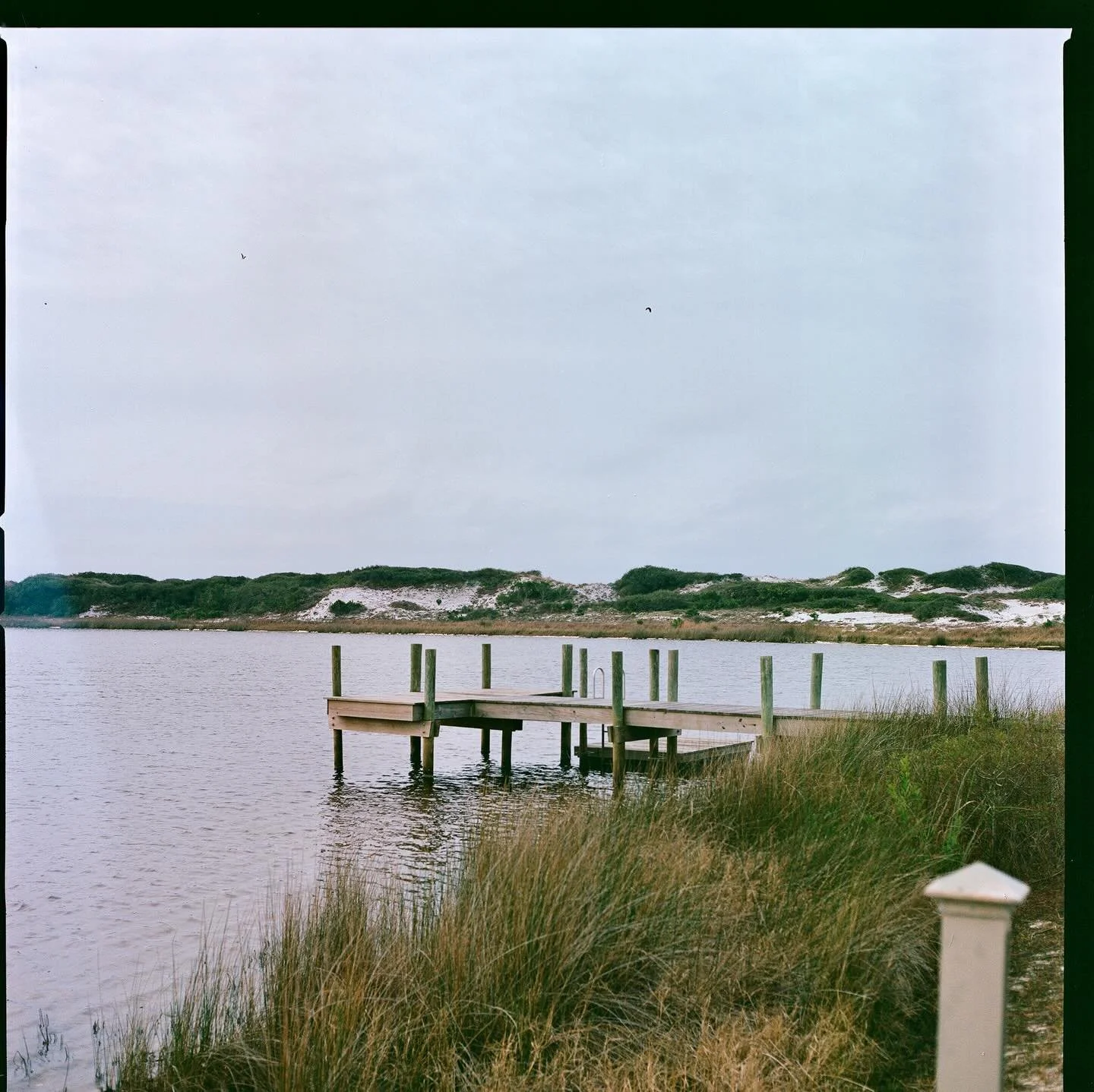 our website is live! check us out mildredchandler.com!