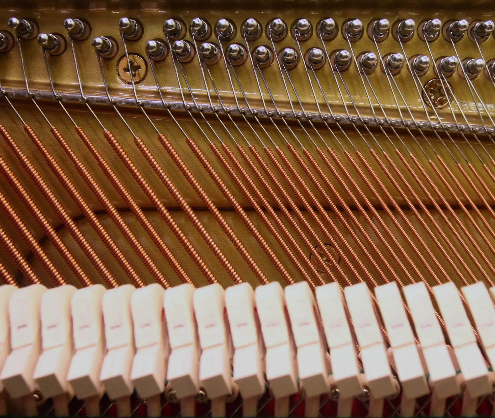 Close-up view of the inside of a piano showing strings and tuning pins.