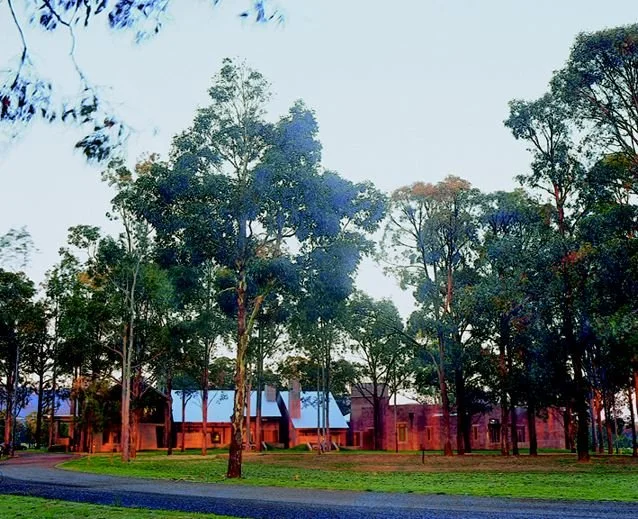 Lodge in trees.jpg