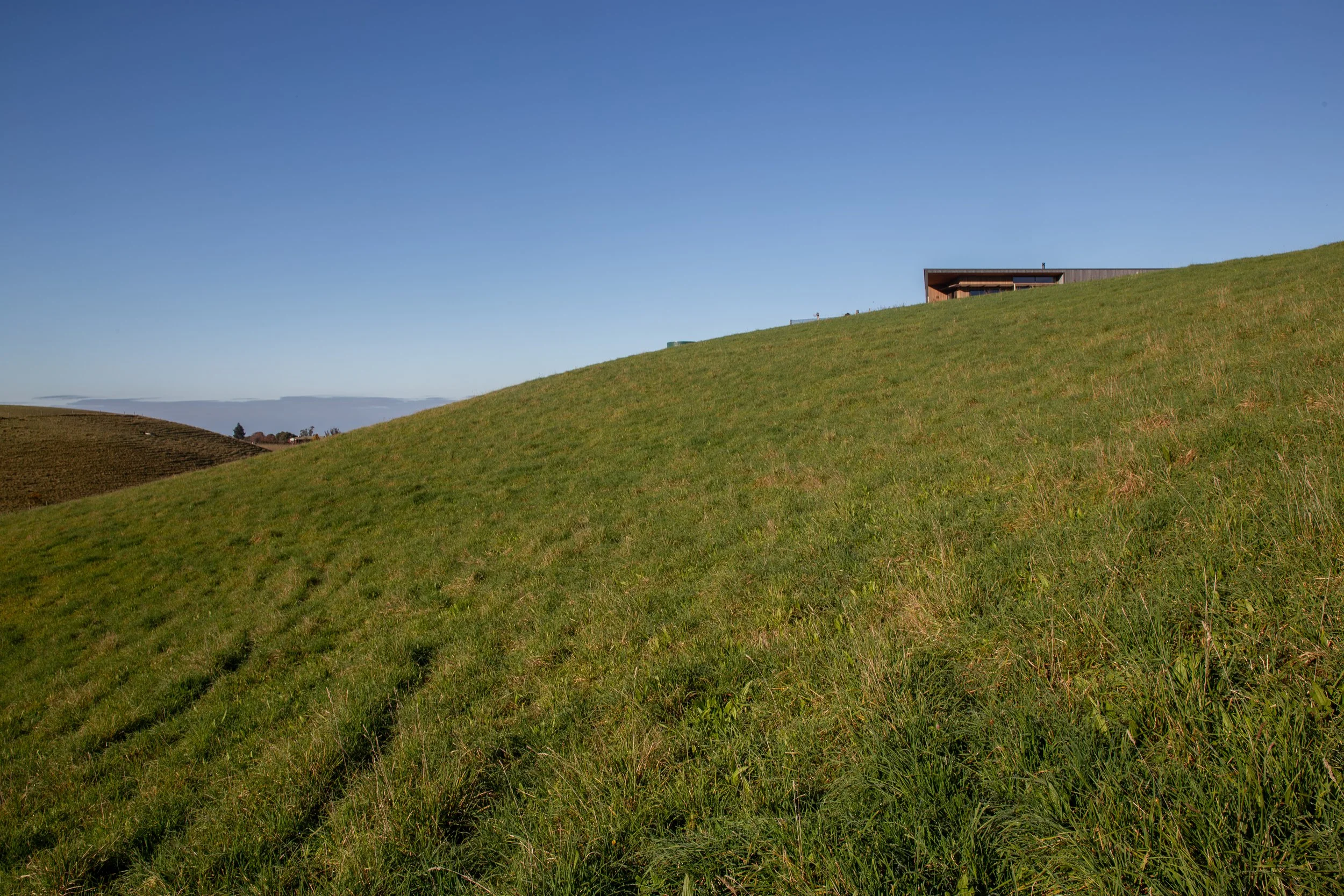 12 PVR landscpae north east edge 2.jpeg