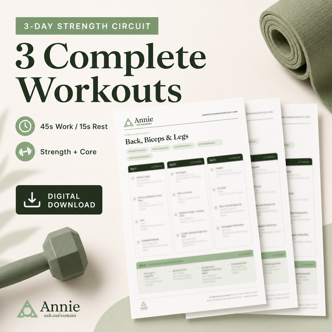 3 Days of Workouts