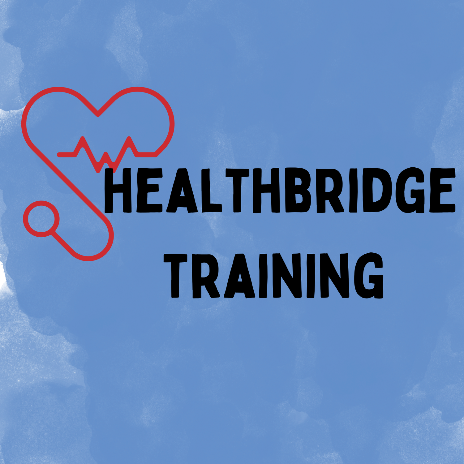 HEALTHBRIDGE TRAINING LLC