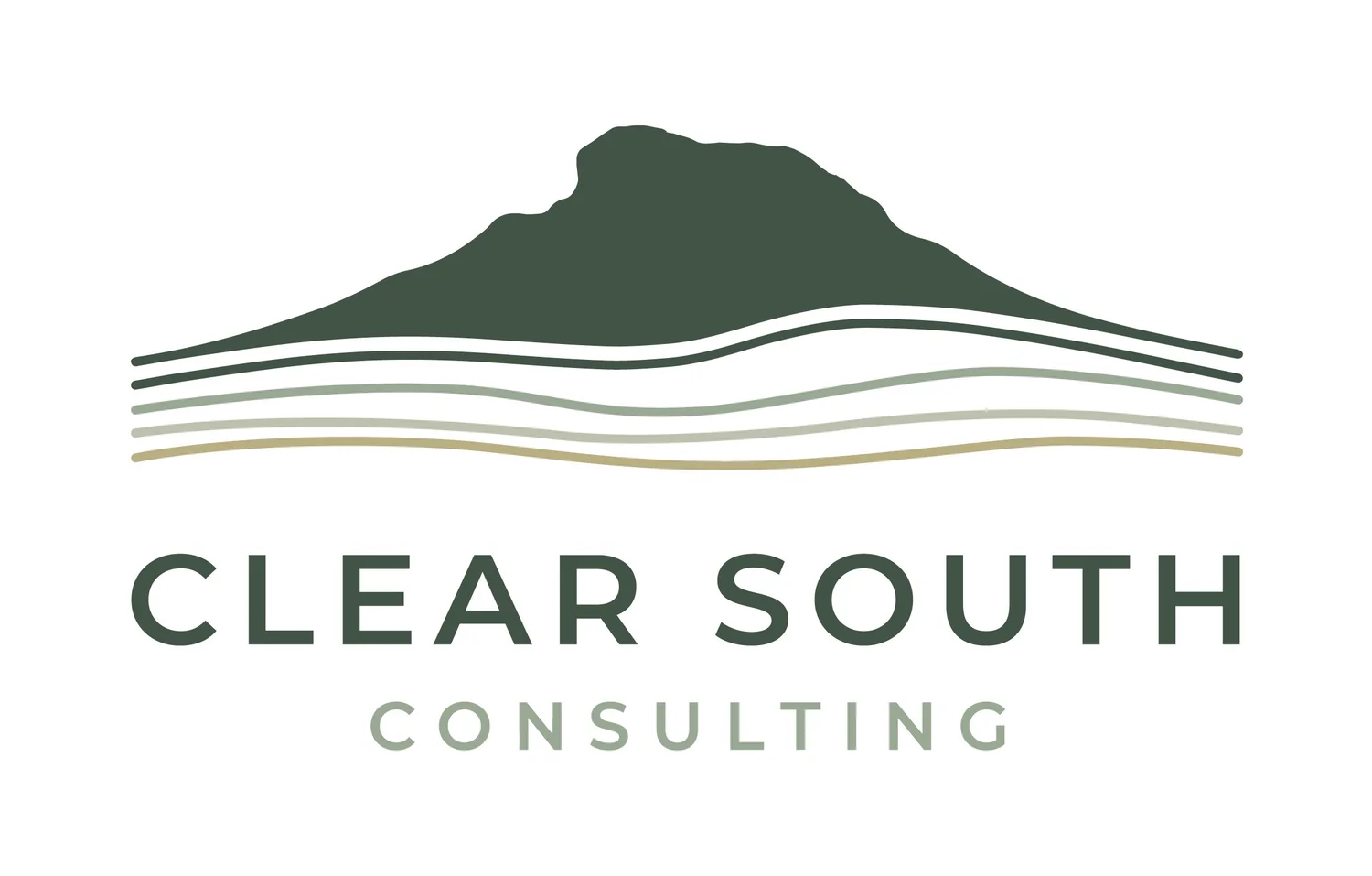 Clear South Consulting