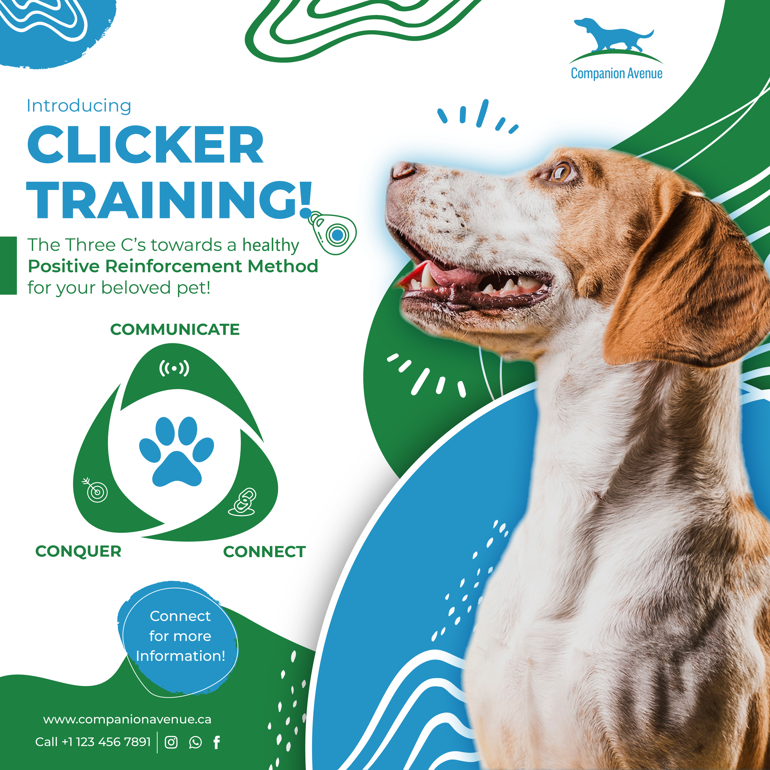 Companion Avenue_Clicker Training 1.png