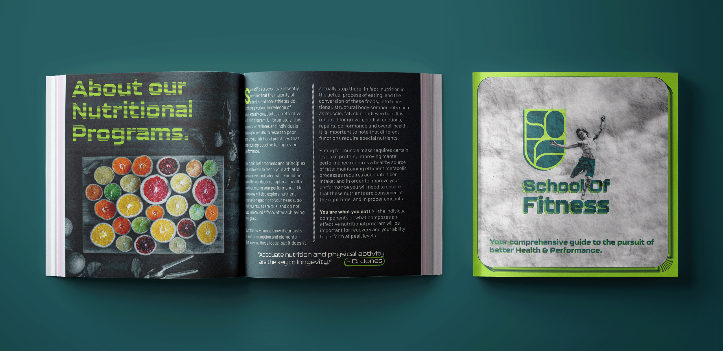 whole overview 2.png