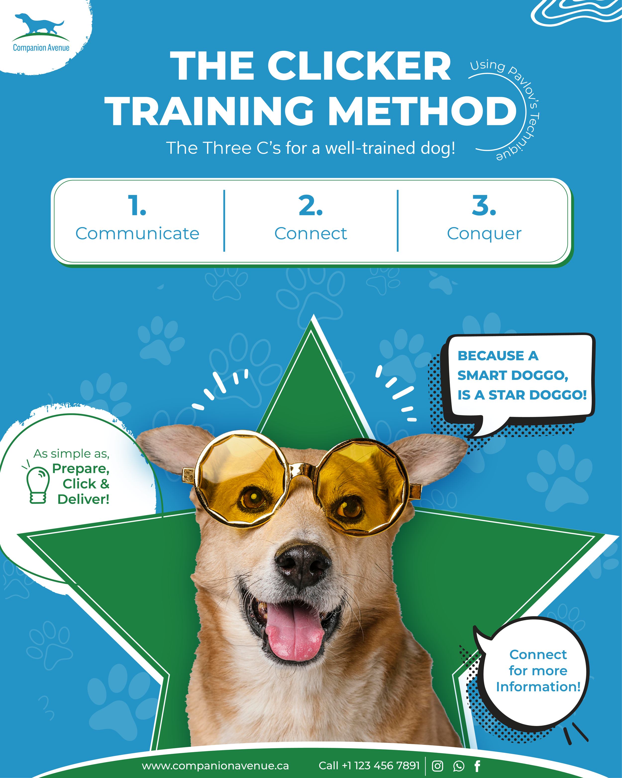 Companion Avenue_Clicker Training 2.png