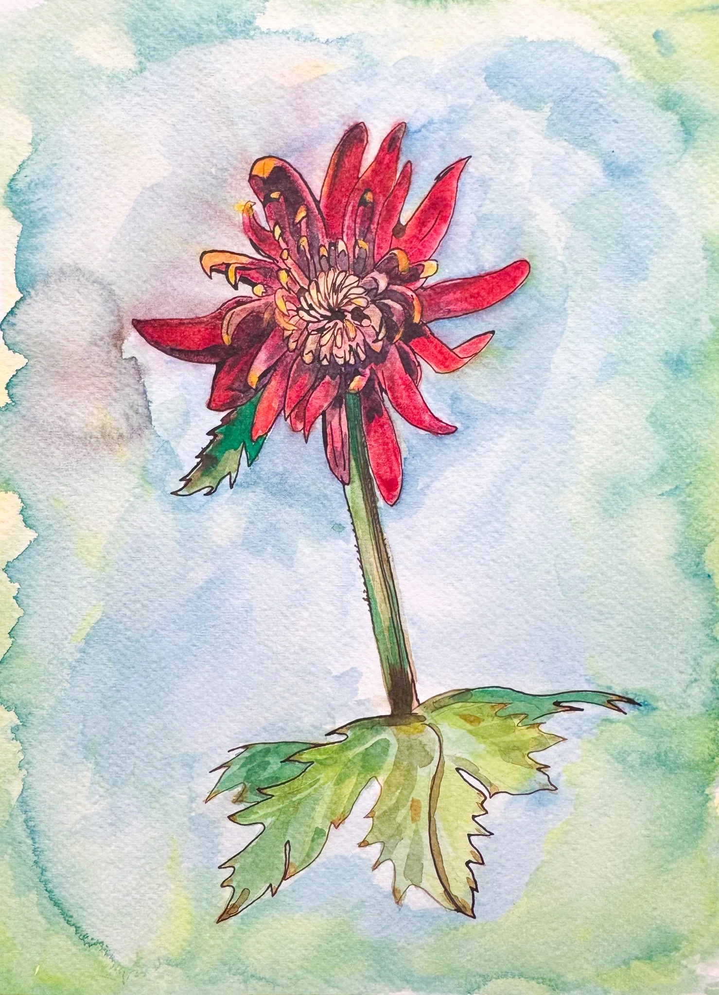 watercolor_small-3.jpg