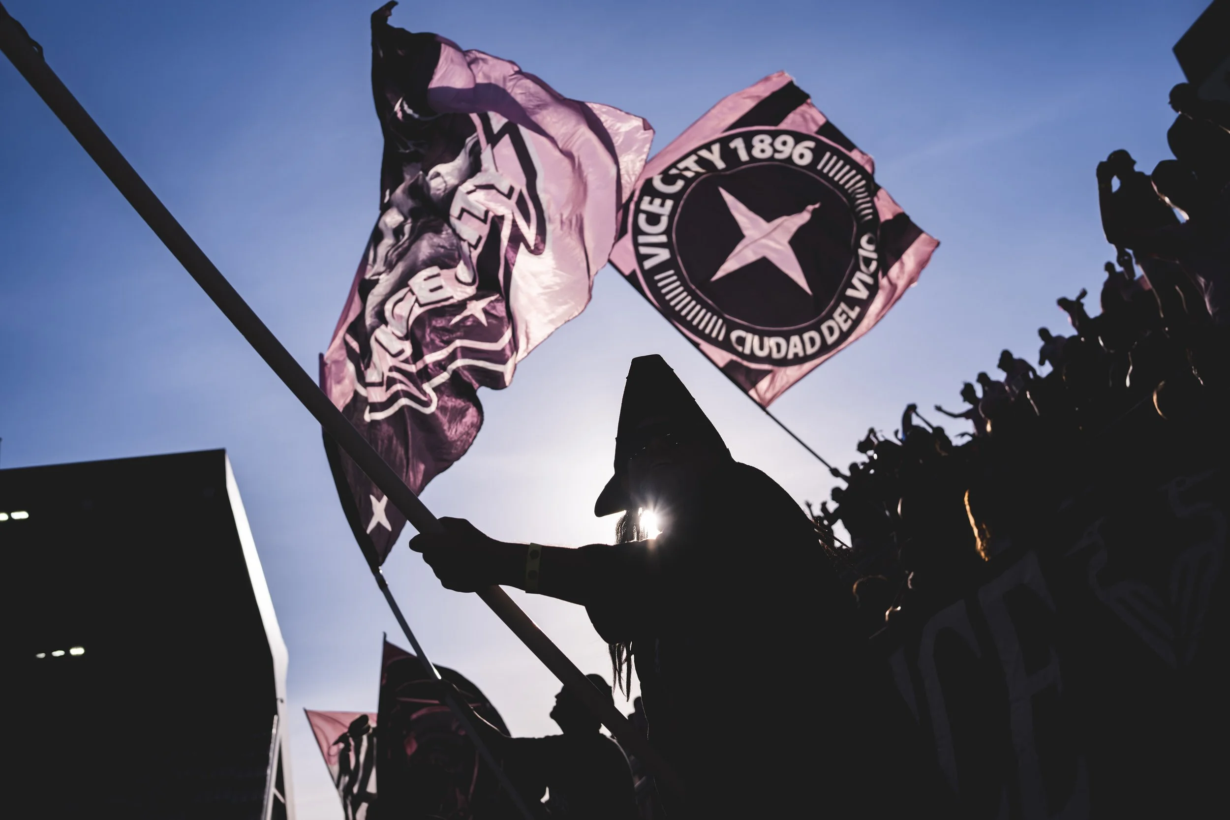 Silhouettes of people holding flags with a blue sky background, with the sun shining behind the flags.