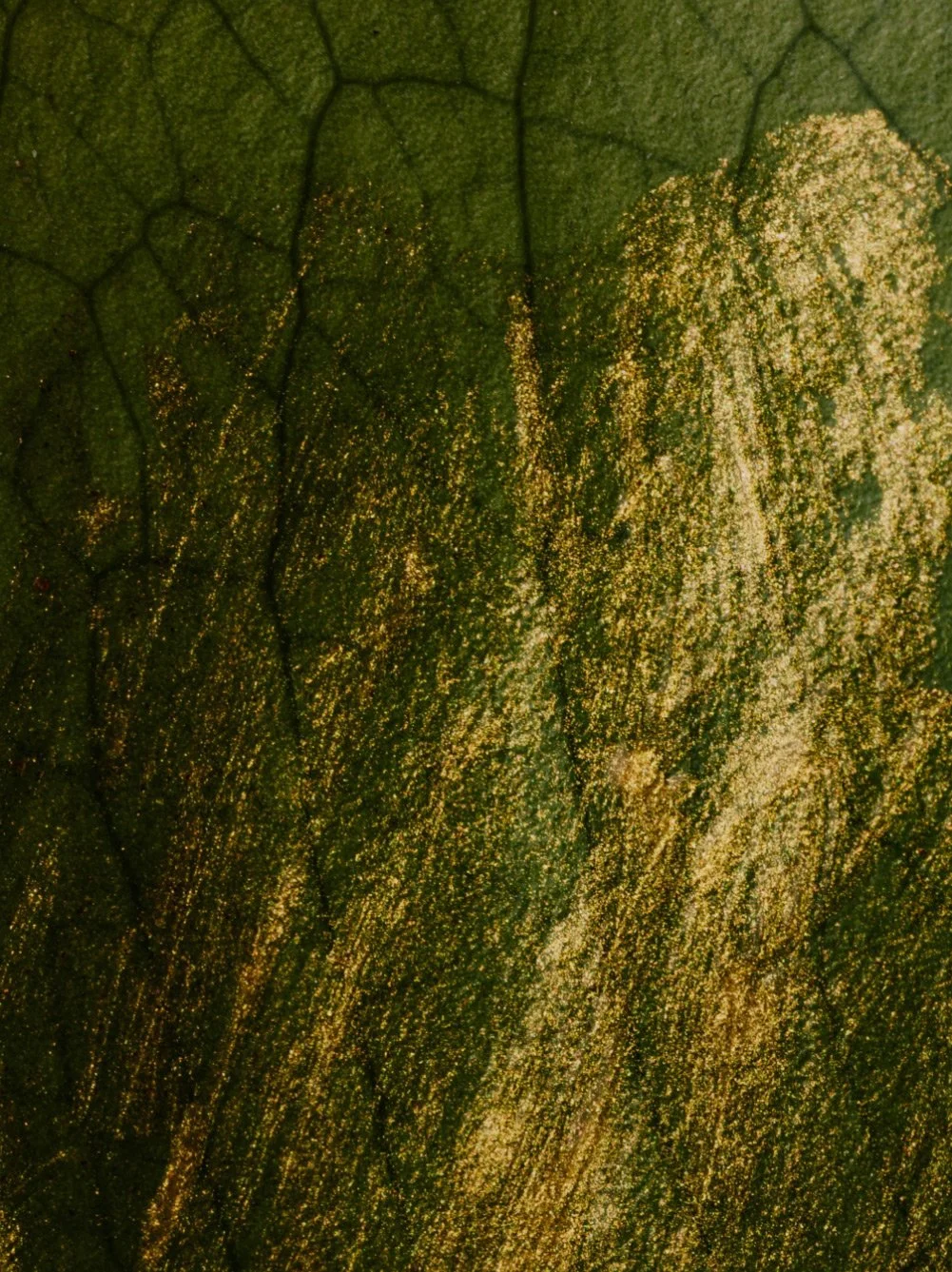 Close-up of a green leaf with gold specks or dust on its surface.