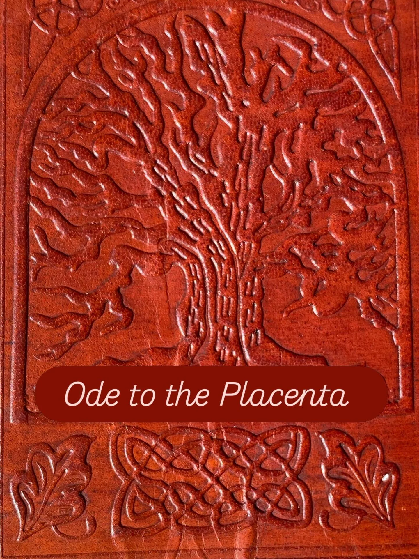Ode to the Placenta. &hearts;️I have always been fascinated by the placenta. An incredible, temporary organ that quietly sustains a baby&rsquo;s every moment in the womb. 🌿

When I am exploring the placenta, I marvel at nature&rsquo;s perfect design