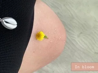 Creative pregnancy imagery. 

Sacred becoming. 

Pure magic unfolding.

Thank you to every woman who shares this precious season with me. 
I am so grateful, and honoured to serve you and your families. 🙏🏼🌹✨