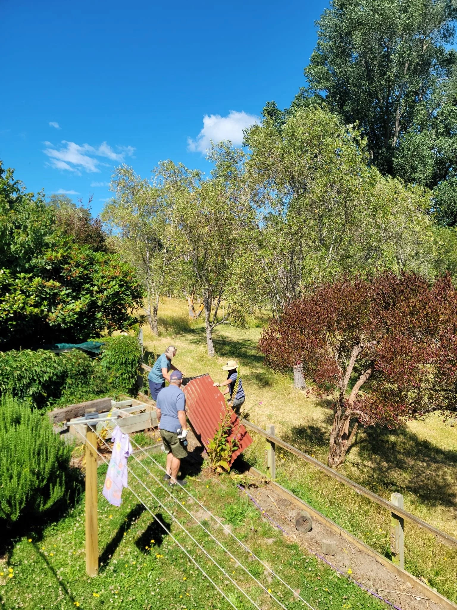 Three people are installing a corrugated metal roof on a small garden shed in a backyard with trees, grass, and a clear blue sky.