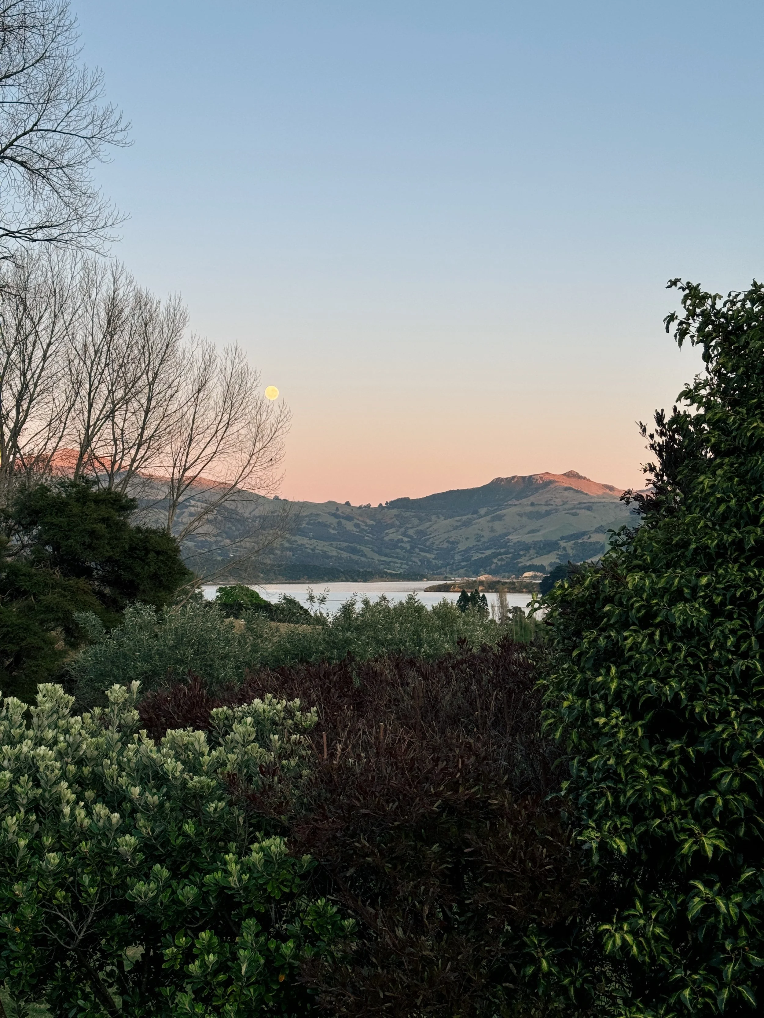 Landscape scene with mountains, trees, lake, and a clear sky with the moon visible in the distance.