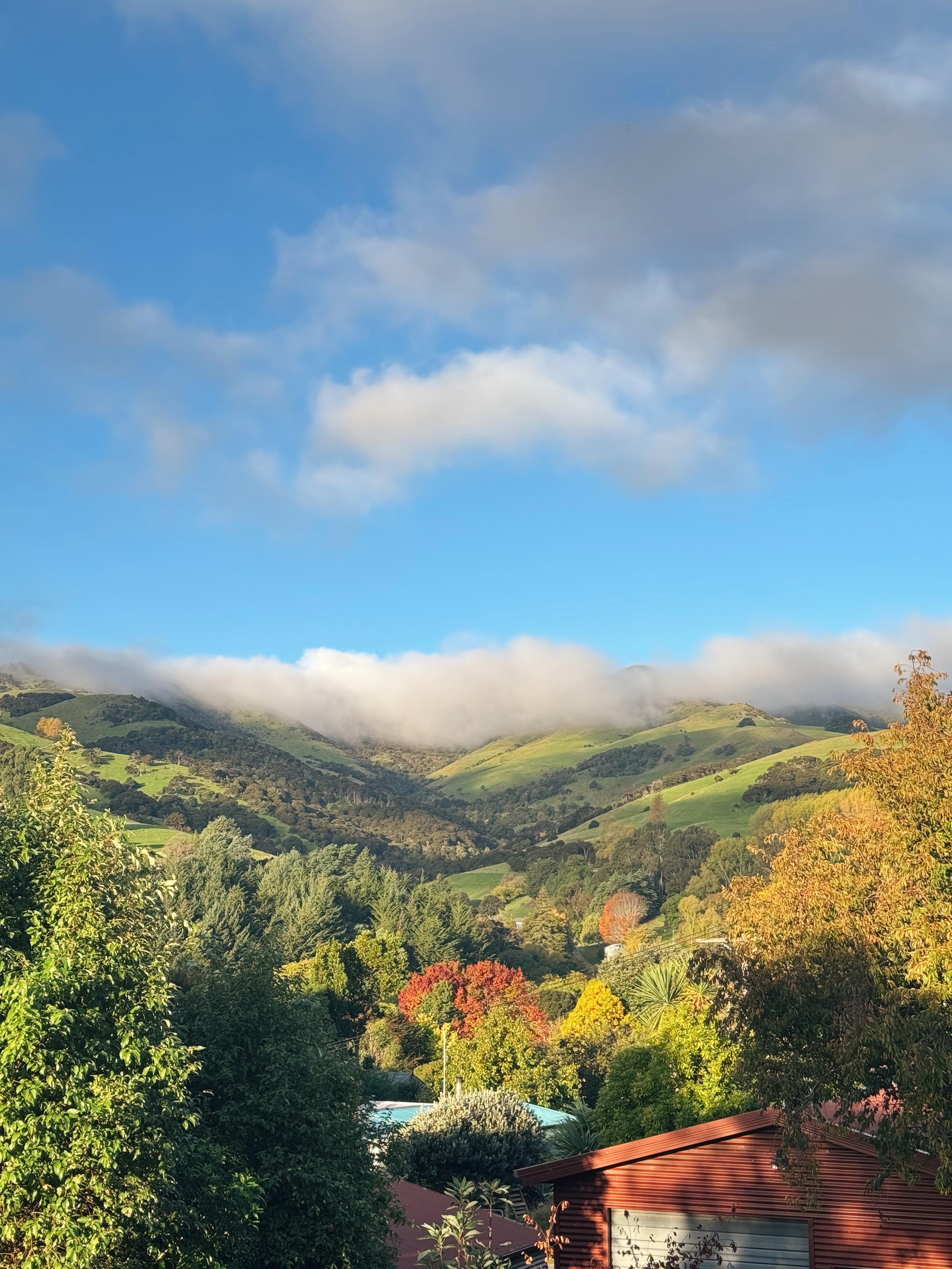 Scenic view of green rolling hills with some clouds and trees in autumn colors, with rooftops in the foreground.
