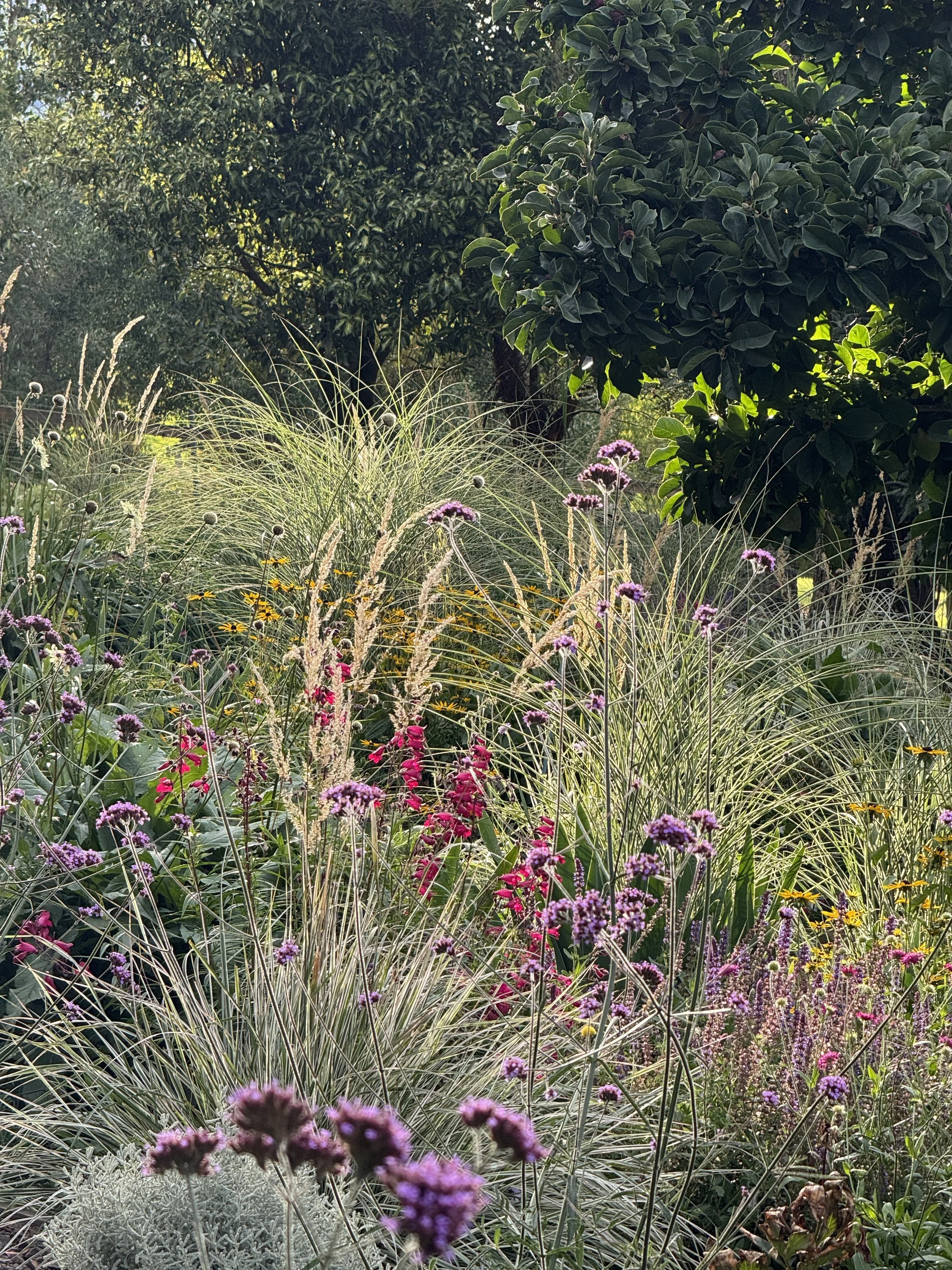 Spindrift Garden, Takamatua, Akaroa, Banks Peninsula