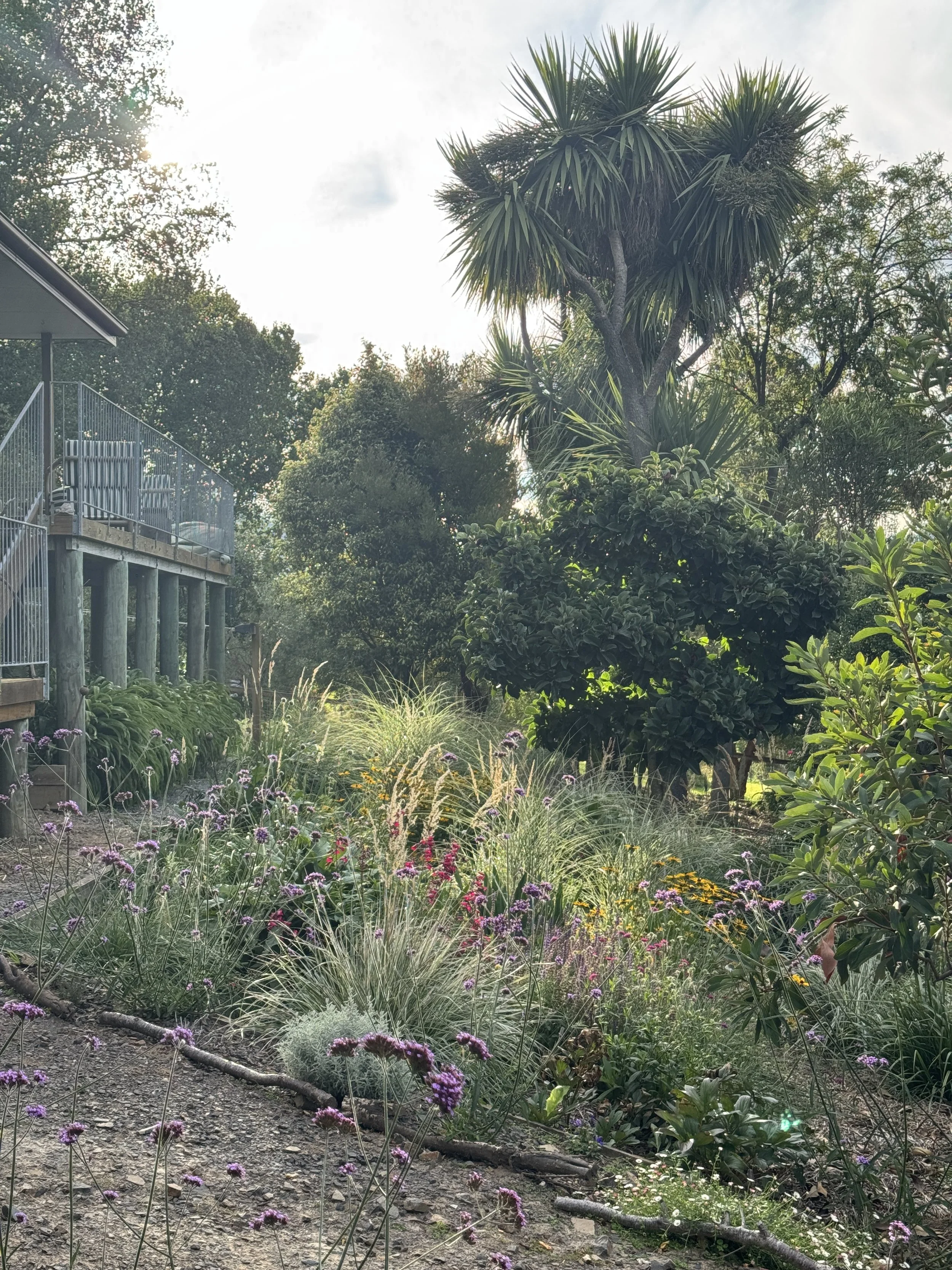 A garden with a variety of plants and flowers, including a tall palm tree and other leafy bushes, with sunlight coming through the trees on a partly cloudy day.