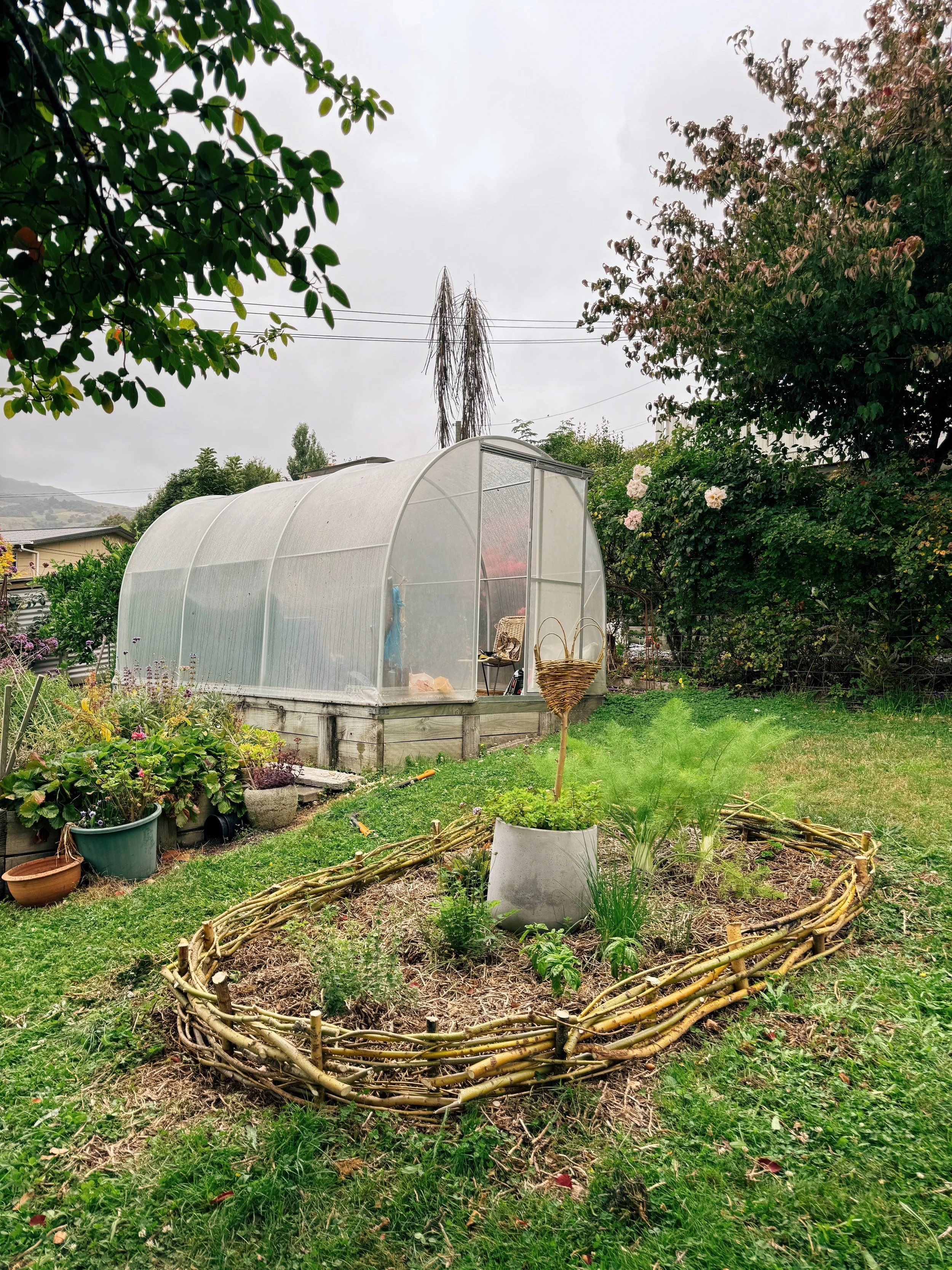 A backyard garden featuring a small vegetable bed bordered by twisted branches, a greenhouse, and various potted plants, with trees and cloudy sky in the background.