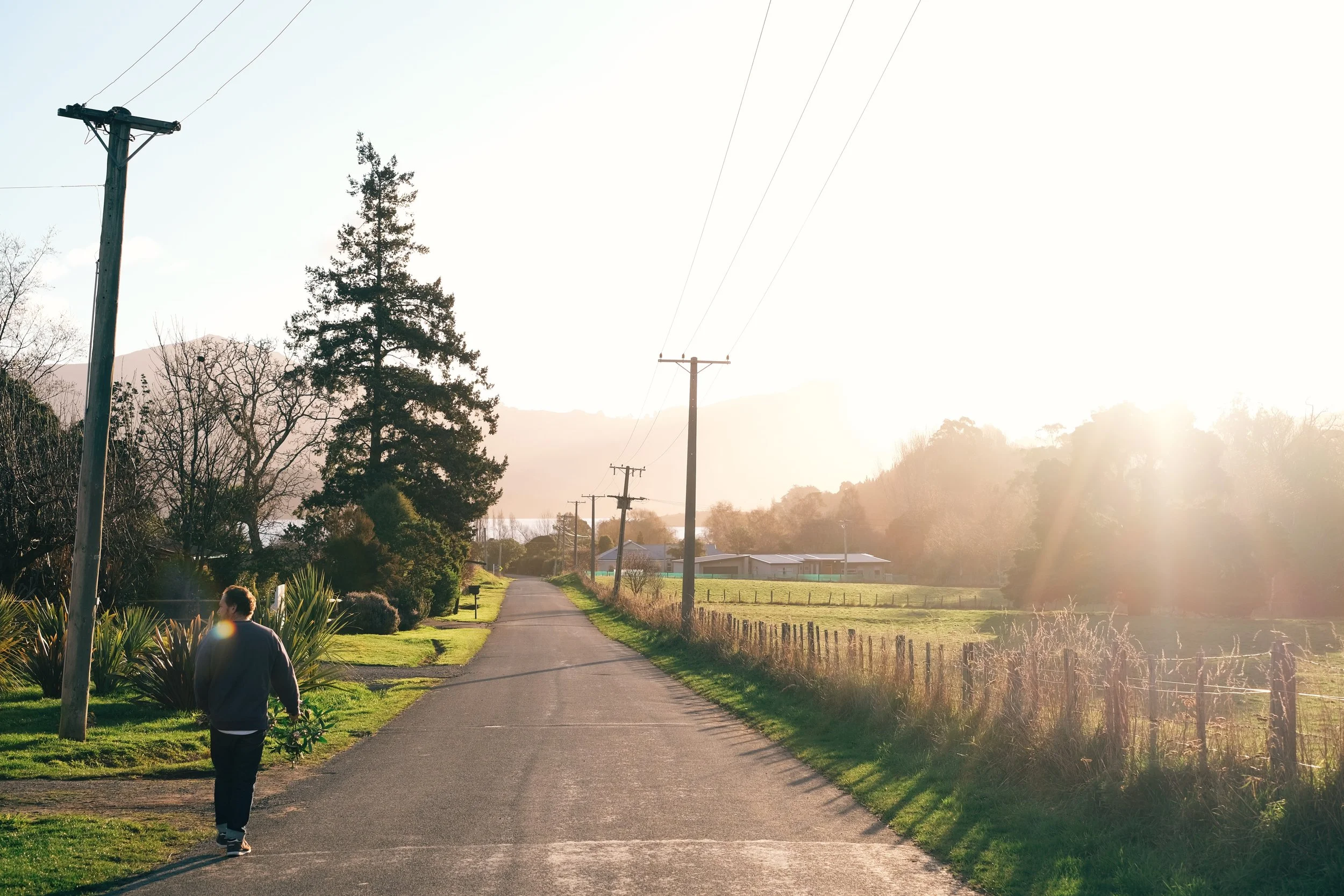 A person walking down a rural road during sunrise with trees, power lines, and a fence on the side.