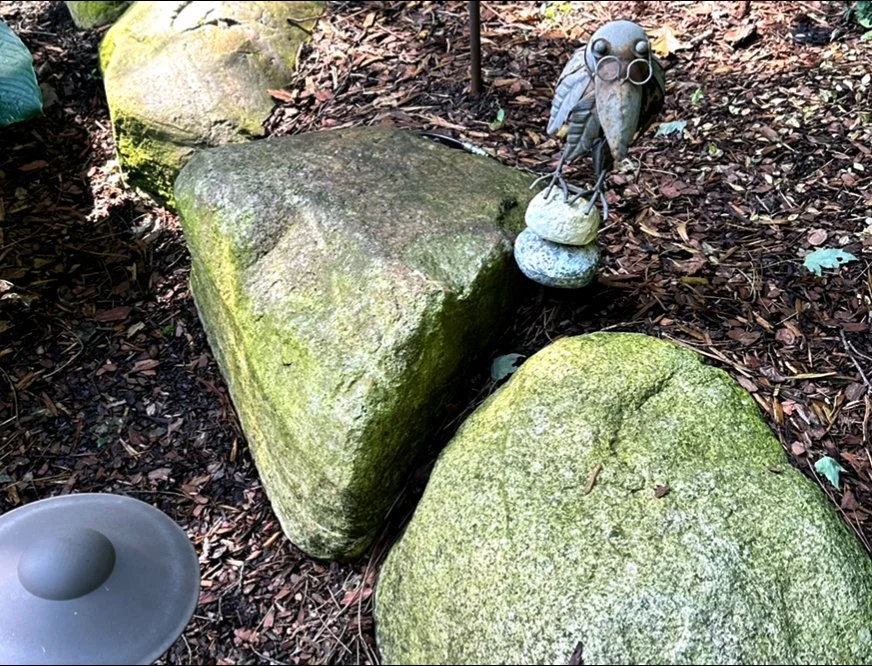 rocks 2 dirty.jpg