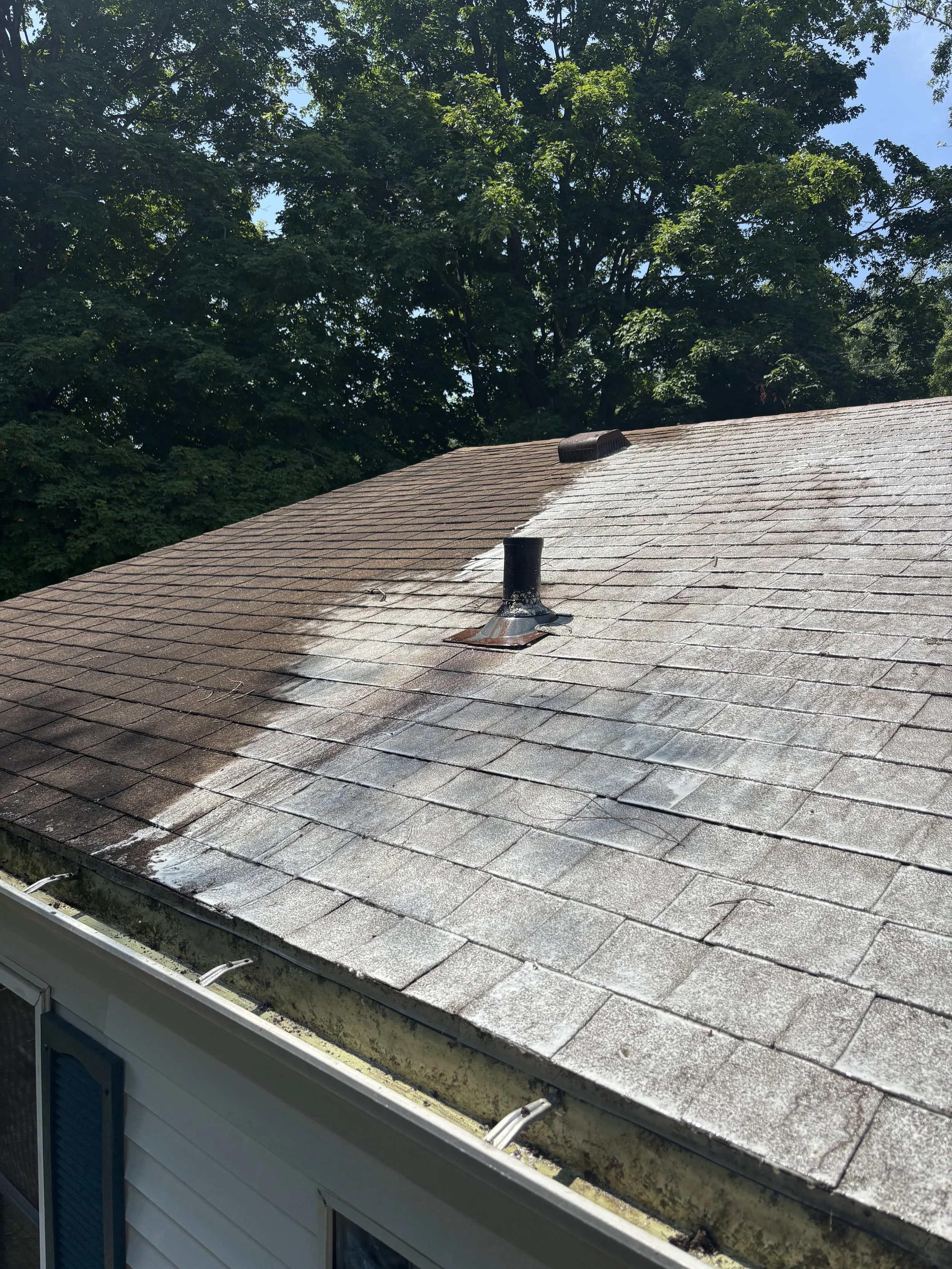 roof dirty.jpeg