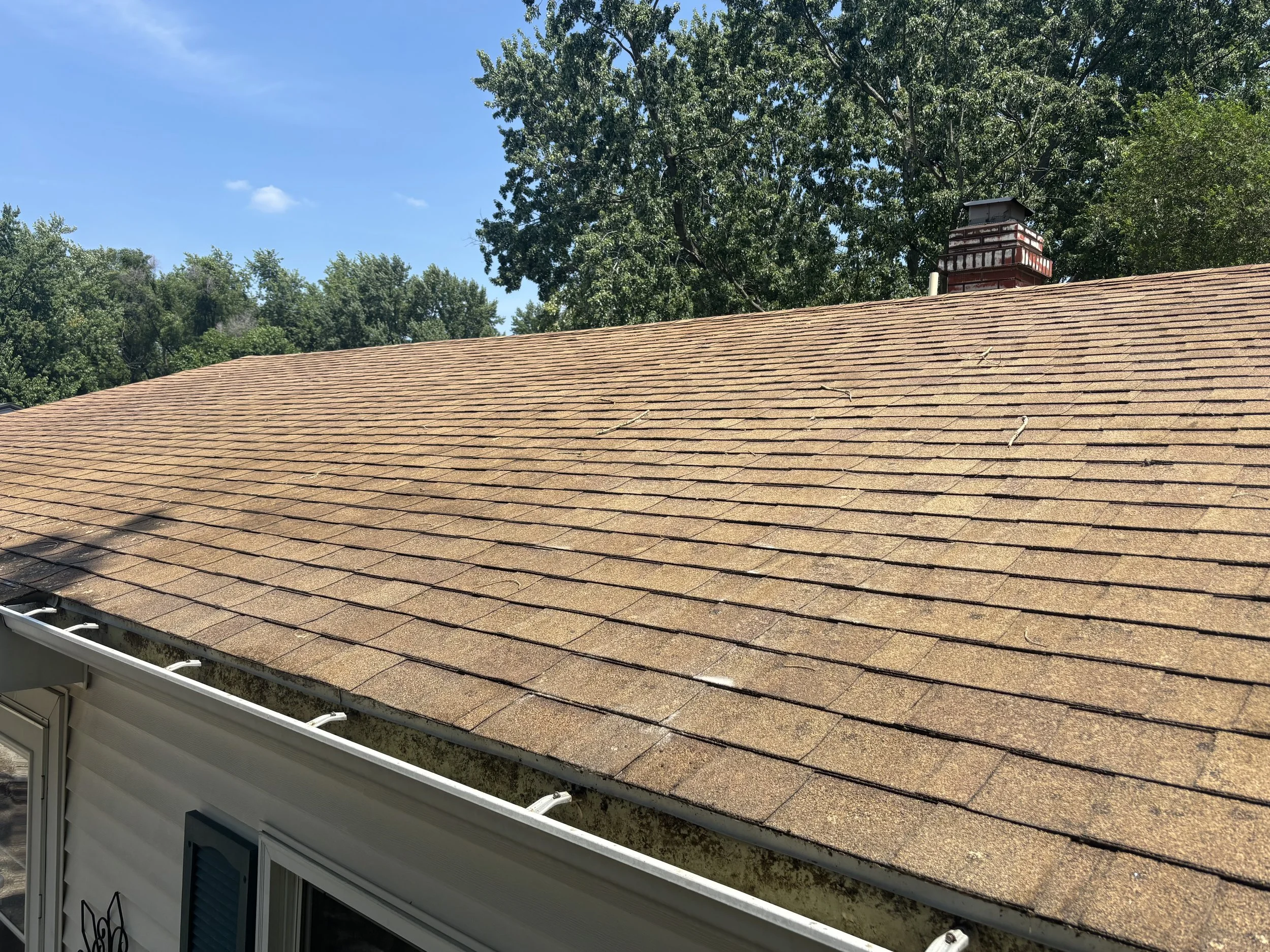 roof clean.jpeg