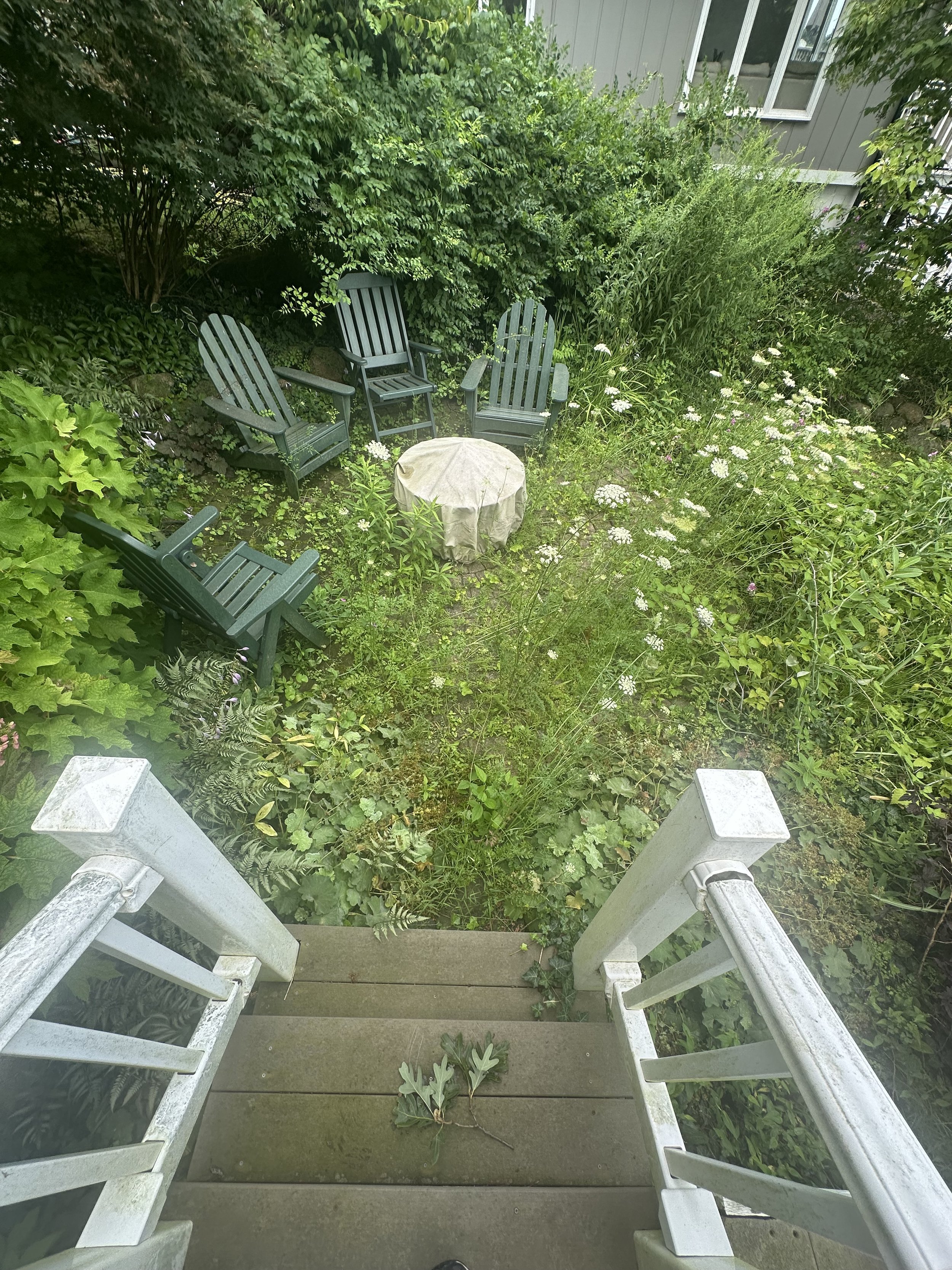 patio dirty 2.jpeg