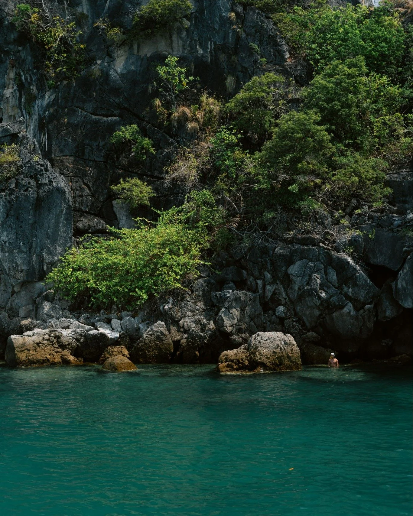 🌿 A quiet corner of the sea, untouched and unreal. 🌊✨

สอบถามข้อมูลเพิ่มเติมได้ที่
📞 +66 92 247 4117 หรือ Line @seasoul.th
Contact us: https://linktr.ee/seasoul.thailand
#soultrippin #seasoulth