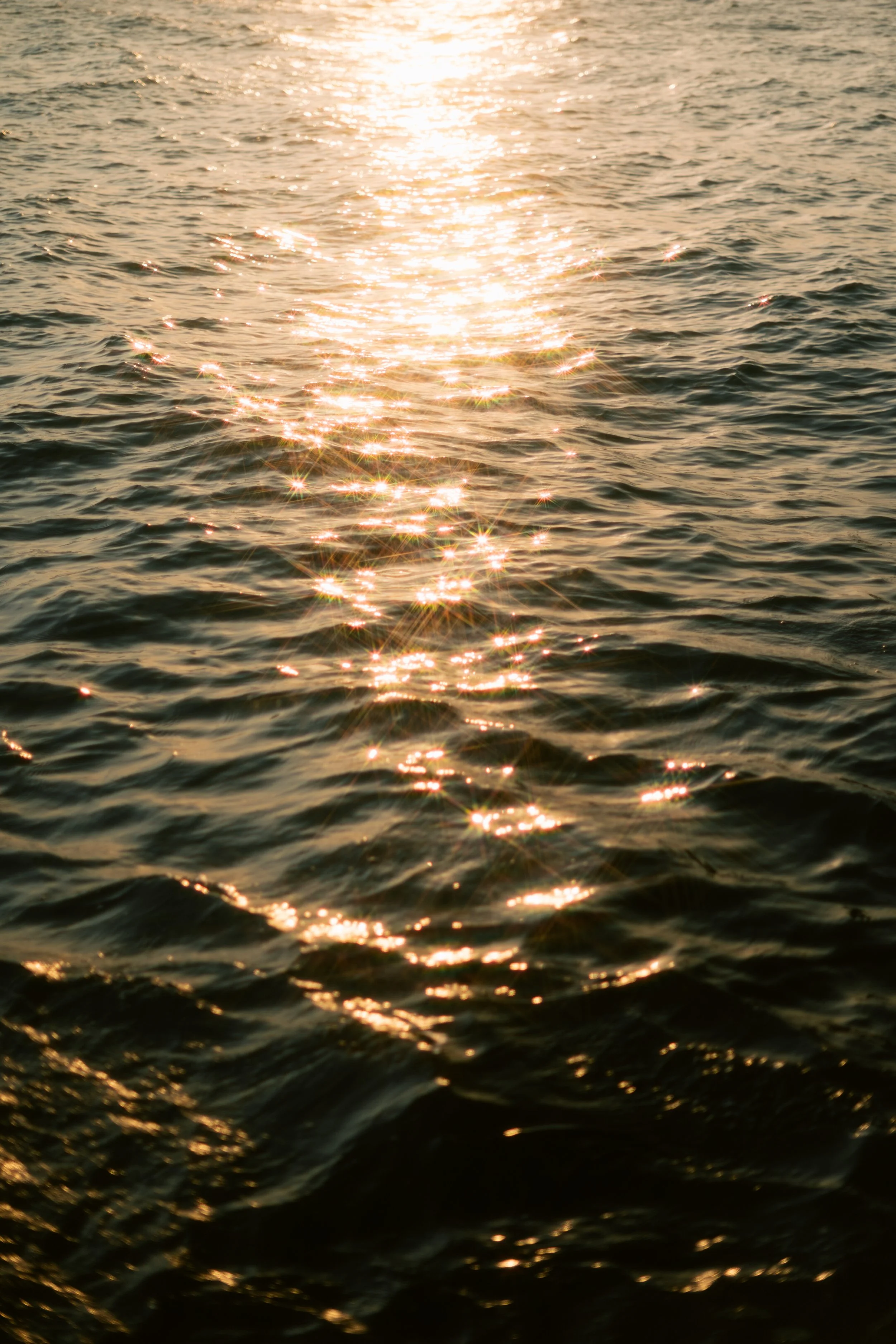 2024-02-xx Sea Soul (681 of 1056).jpg