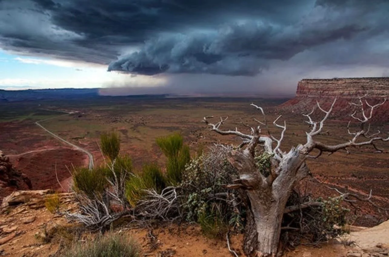 Spring storms are already rolling through New Mexico.

And every year it&rsquo;s the same story&hellip;

⚡ Power goes out
🥶 No heat
🍖 Food goes bad
📞 Everyone starts calling at the same time

By the time people start thinking about a generator&hel