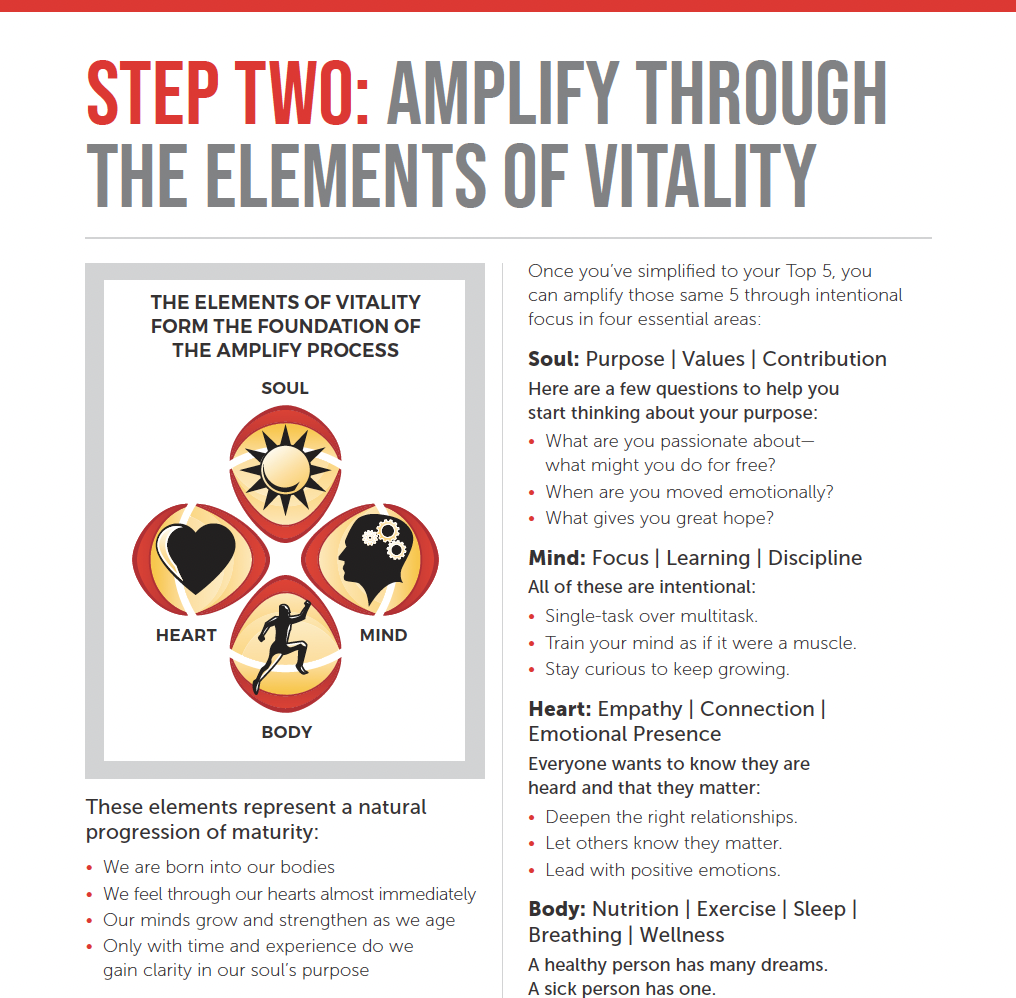 Kickstart Guide - Elements of Vitality Preview.png