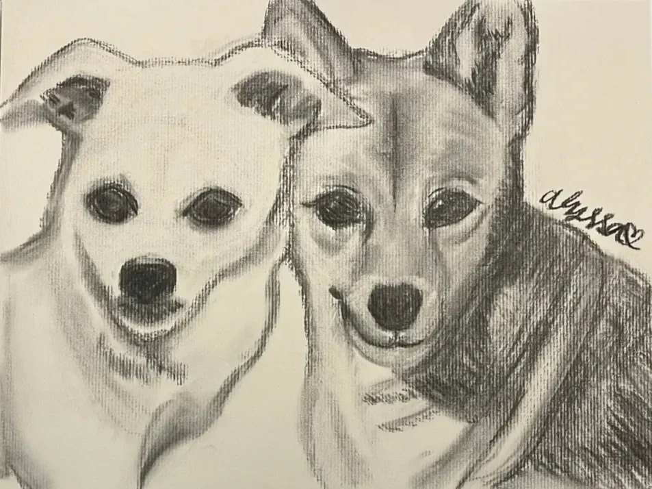 jeon+sona+gfs+dogs.webp