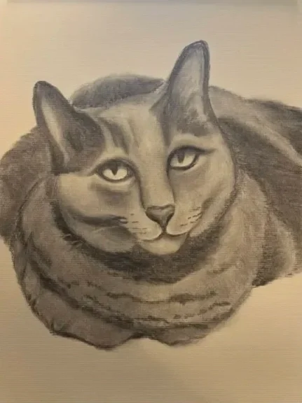 Gray+Cat+Charcoal+Portrait.webp