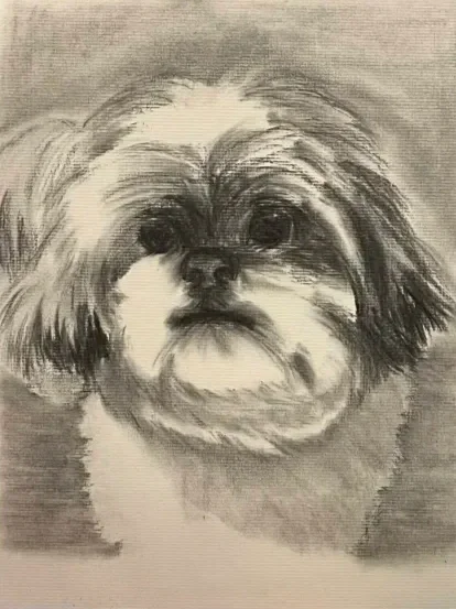 Toby+Charcoal+Portrait.webp