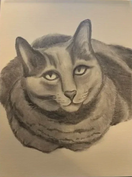 Russian Short-hair Portrait